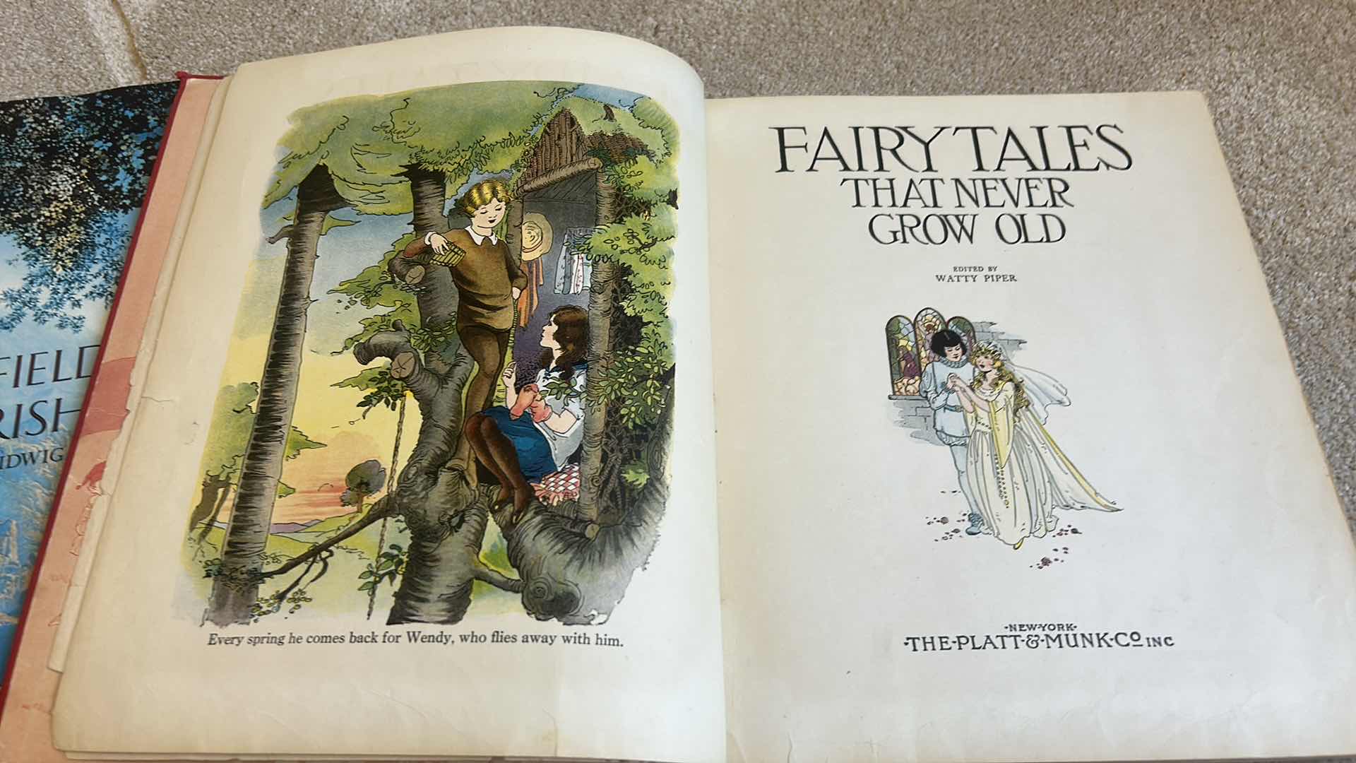 Photo 1 of 2 HARDCOVER COCKTAIL BOOKS-  RARE VINTAGE FAIRY TALES BOOK