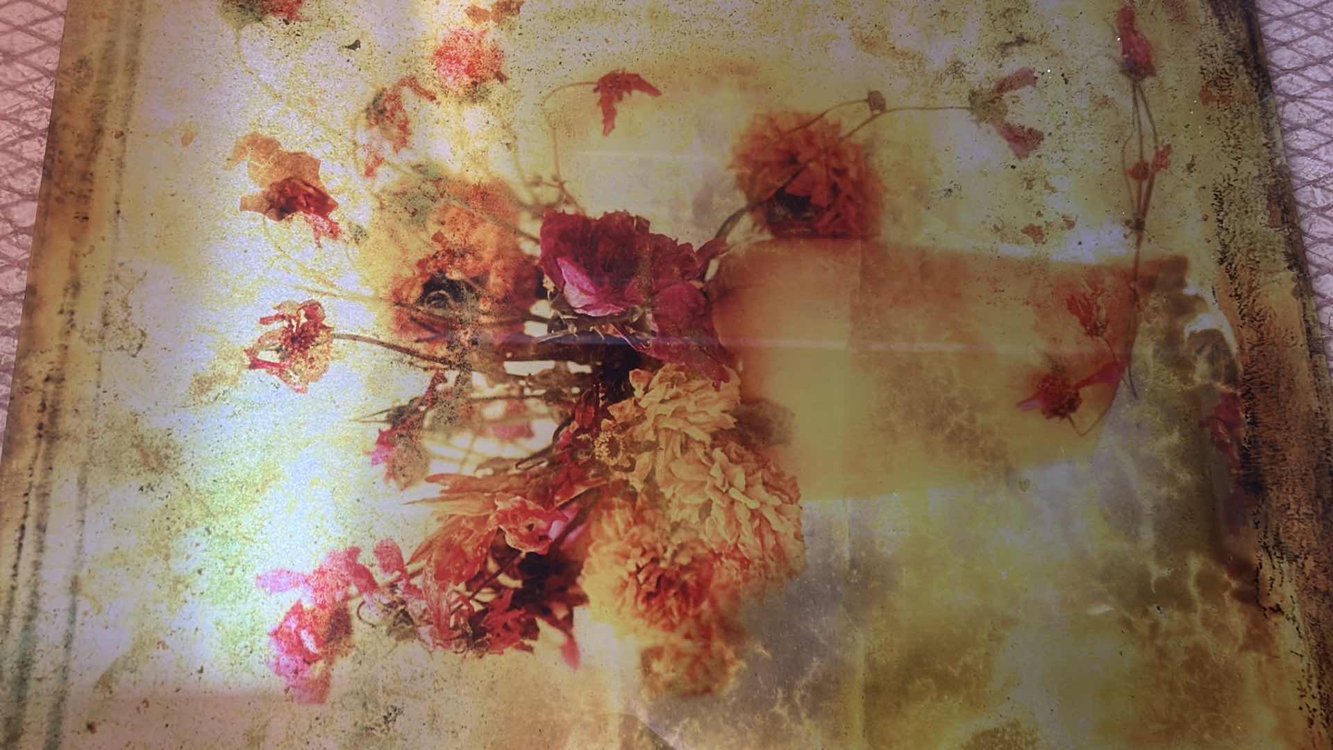Photo 1 of ACRYLIC FLORAL ARTWORK 24” x 32”