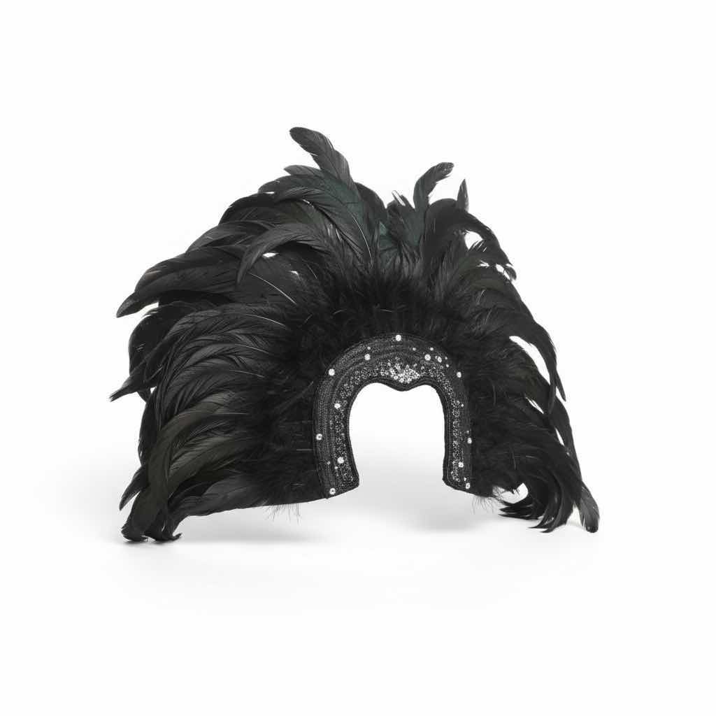 Photo 1 of HAND MADE FEATHER HEADPIECE