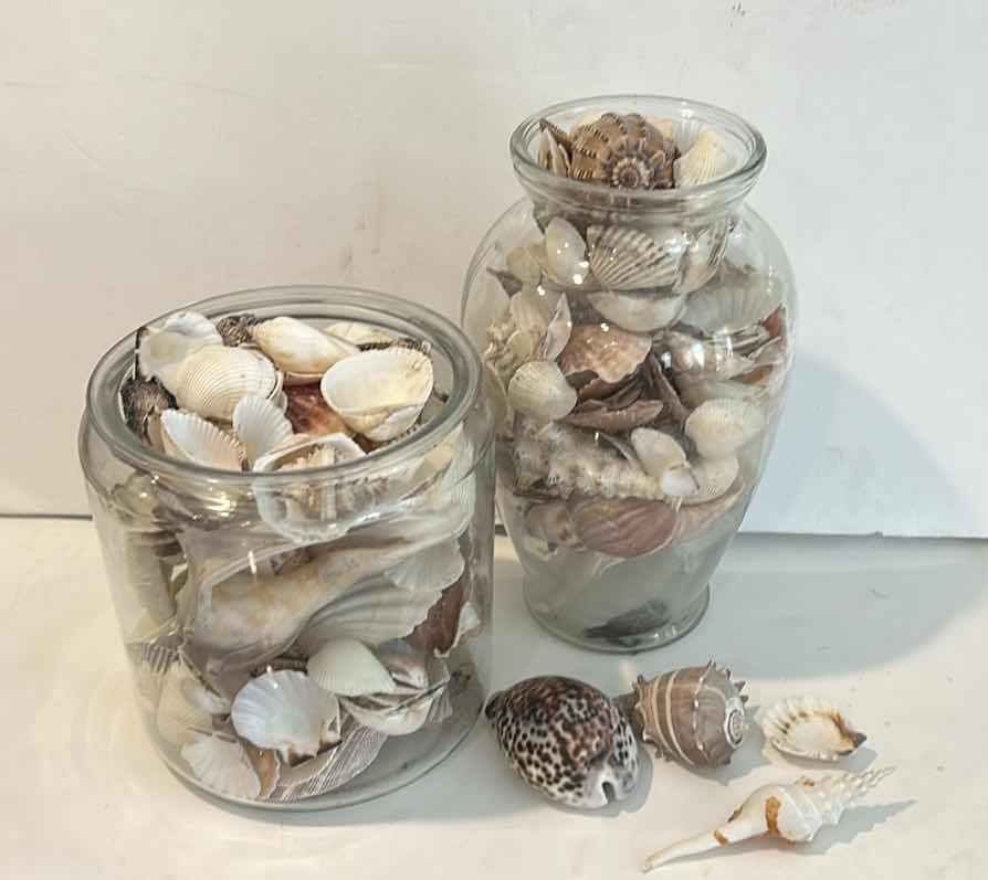 Photo 1 of 2 GLASS CONTAINERS WITH SHELLS ( TALLEST H 11”)