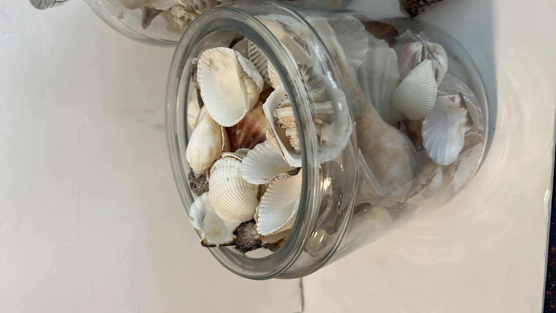 Photo 1 of 2 GLASS CONTAINERS WITH SHELLS ( TALLEST H 11”)