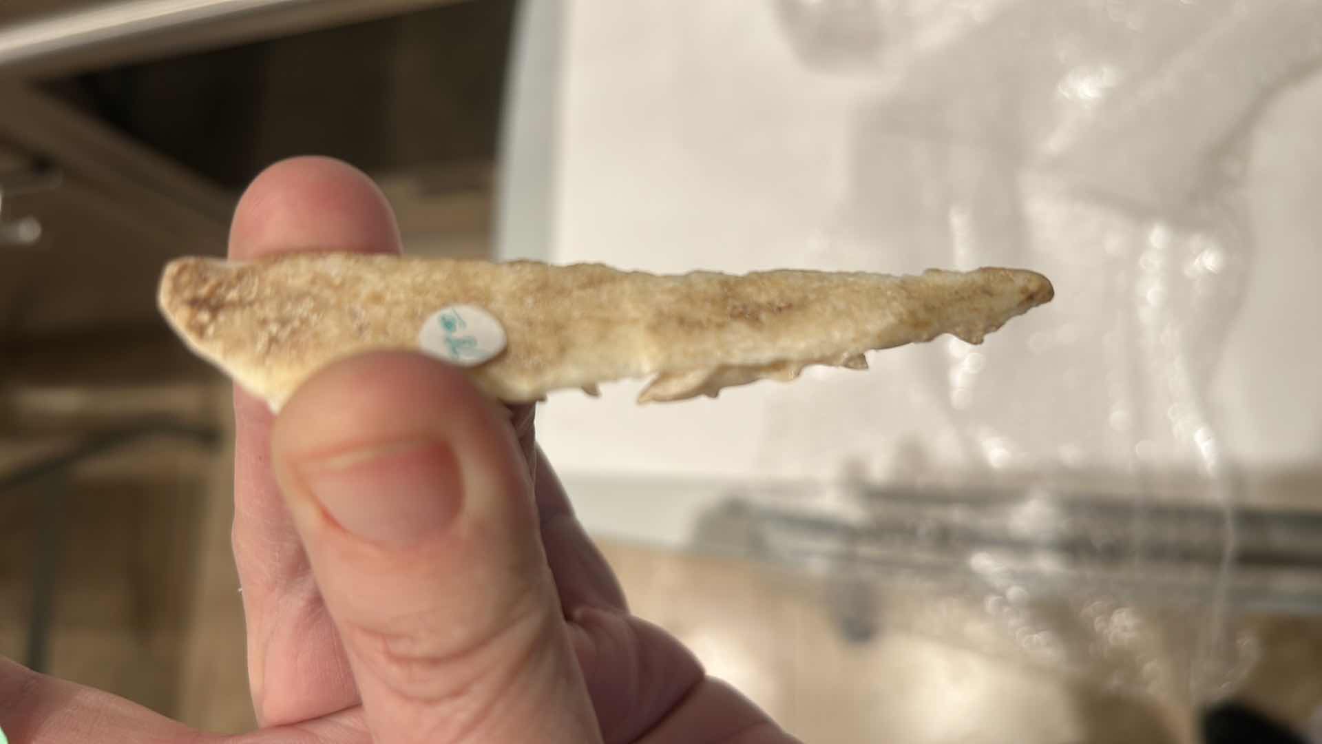 Photo 1 of 2 - IVORY OR BONE INTRICATELY HAND-CARVED AND PIERCED, DEPICTING FIGURES (POSSIBLY DEITIES OR MYTHICAL BEASTS) DOLPHINS AND NATURAL THEMES.
(TALLEST 5 1/2”)