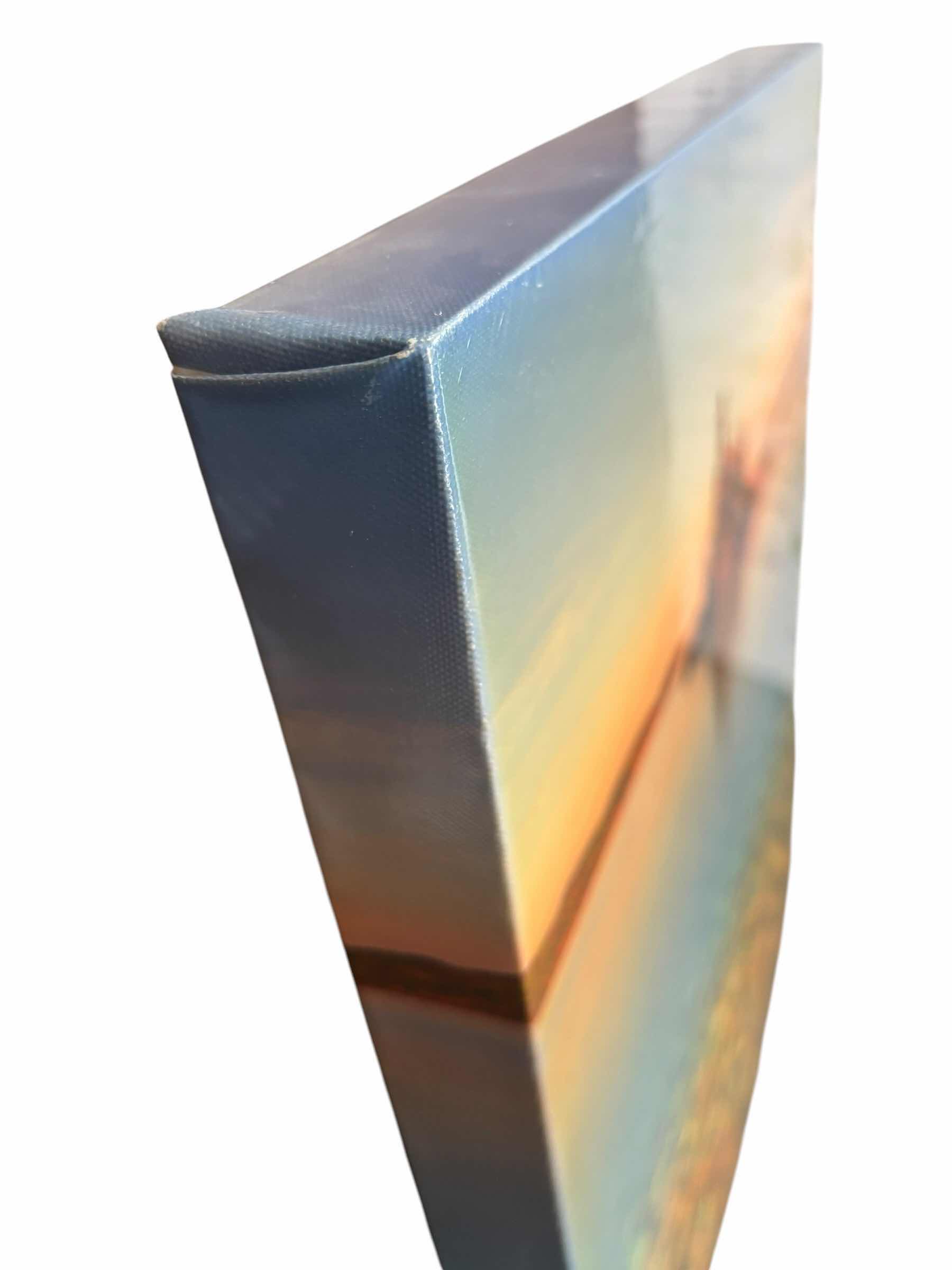 Photo 1 of CANVAS PRINT OF TINY ISLAND 15” X 20”