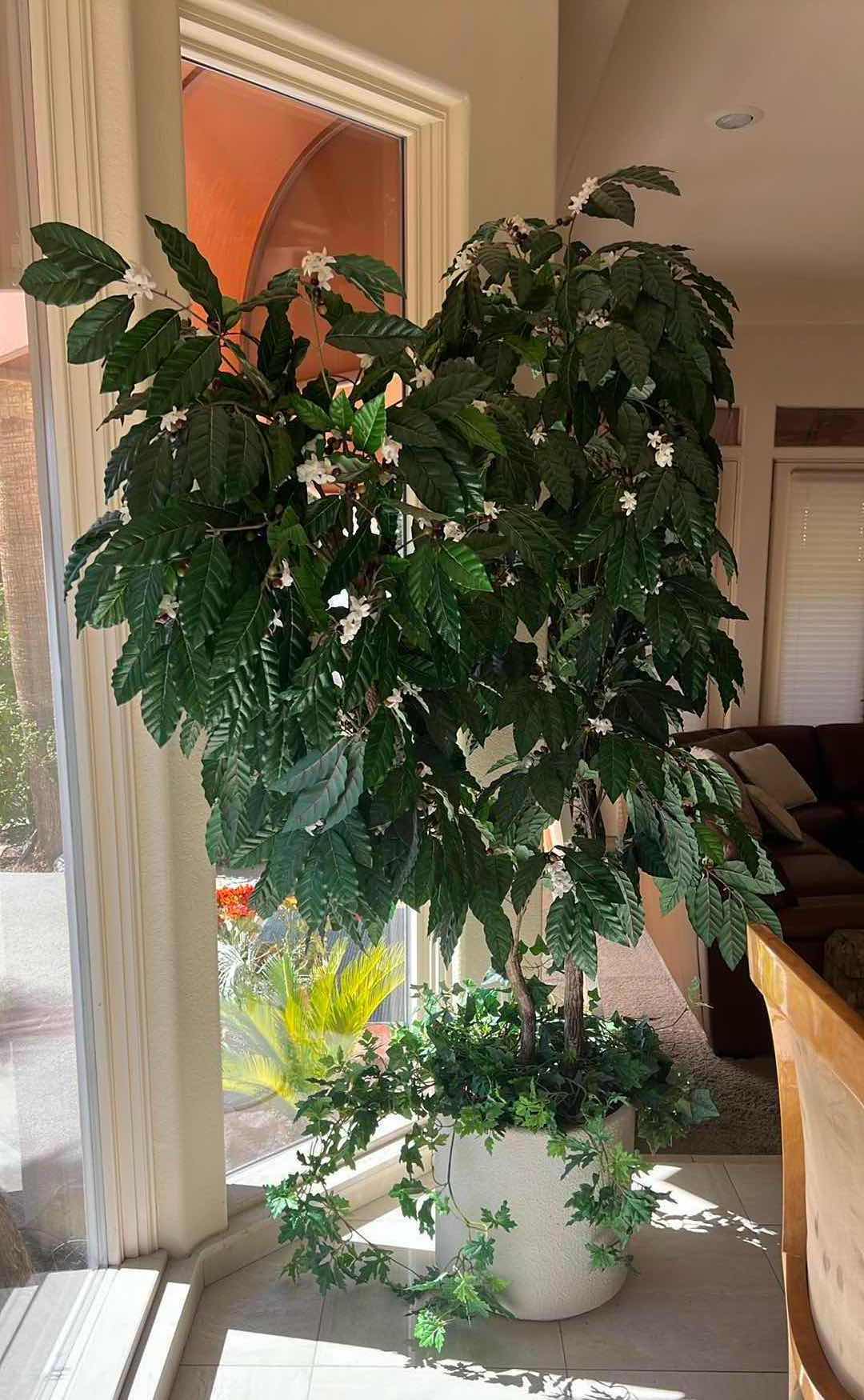 Photo 4 of 7' TALL FAUX POTTED TREE