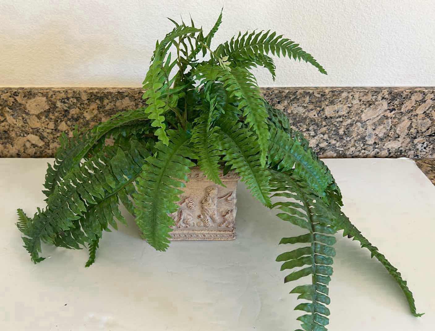 Photo 2 of FAUX FERN IN CERAMIC PLANTER (PLANTER 6" x 6" H6")