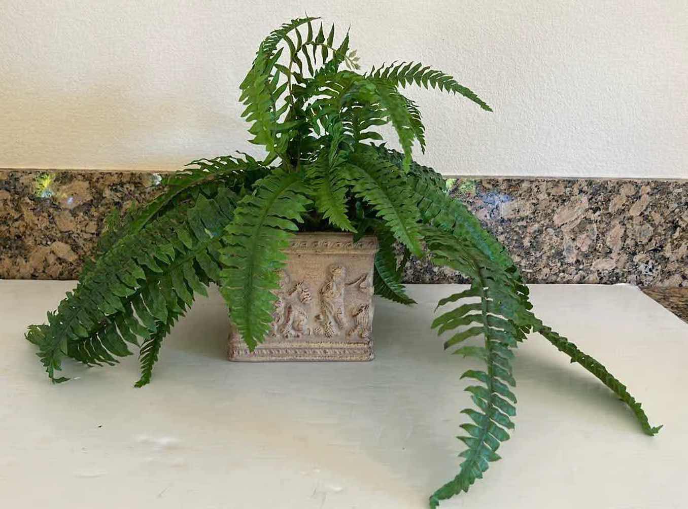 Photo 1 of FAUX FERN IN CERAMIC PLANTER (PLANTER 6" x 6" H6")