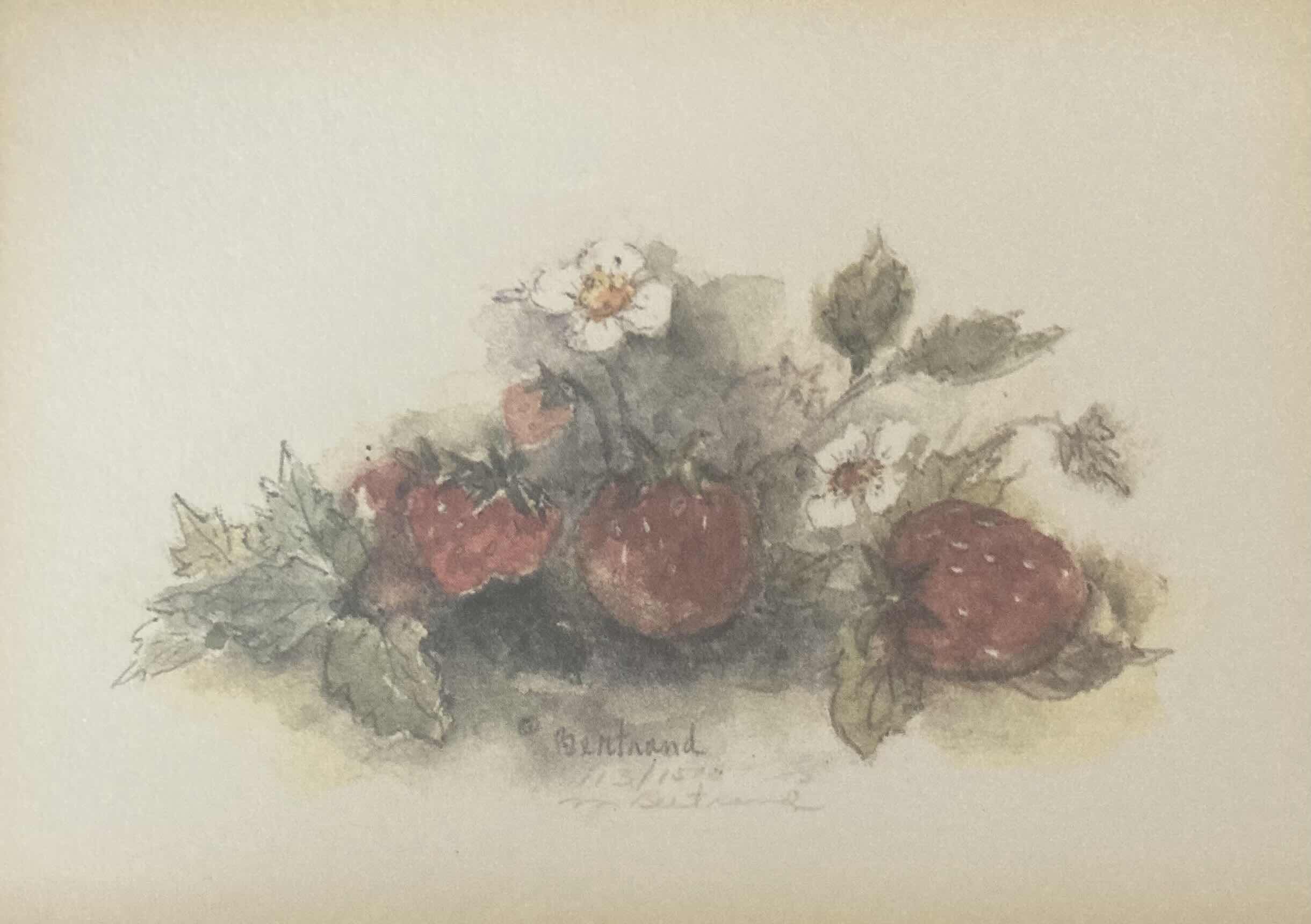 Photo 2 of FLORAL STRAWBERRIES PAINTING REPRINT 113/1500 SIGNED BY MARY BERTRAND FRAMED WALL ART 10.6” X 8.6”