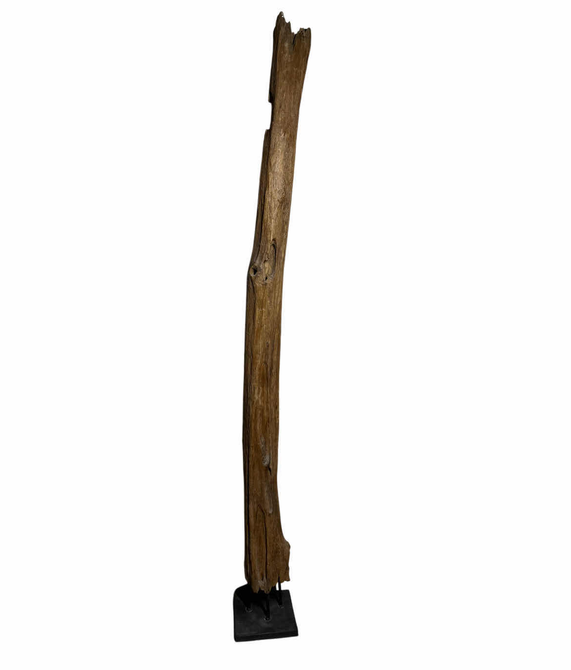 Photo 1 of PETRIFIED DRIFTWOOD SCULPTURE W IRON BASE 8” X 8” H74”