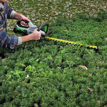 Photo 1 of EGO POWER+ 56V 24” BATTERY HEDGE TRIMMER, TOOL ONLY (HT2410)