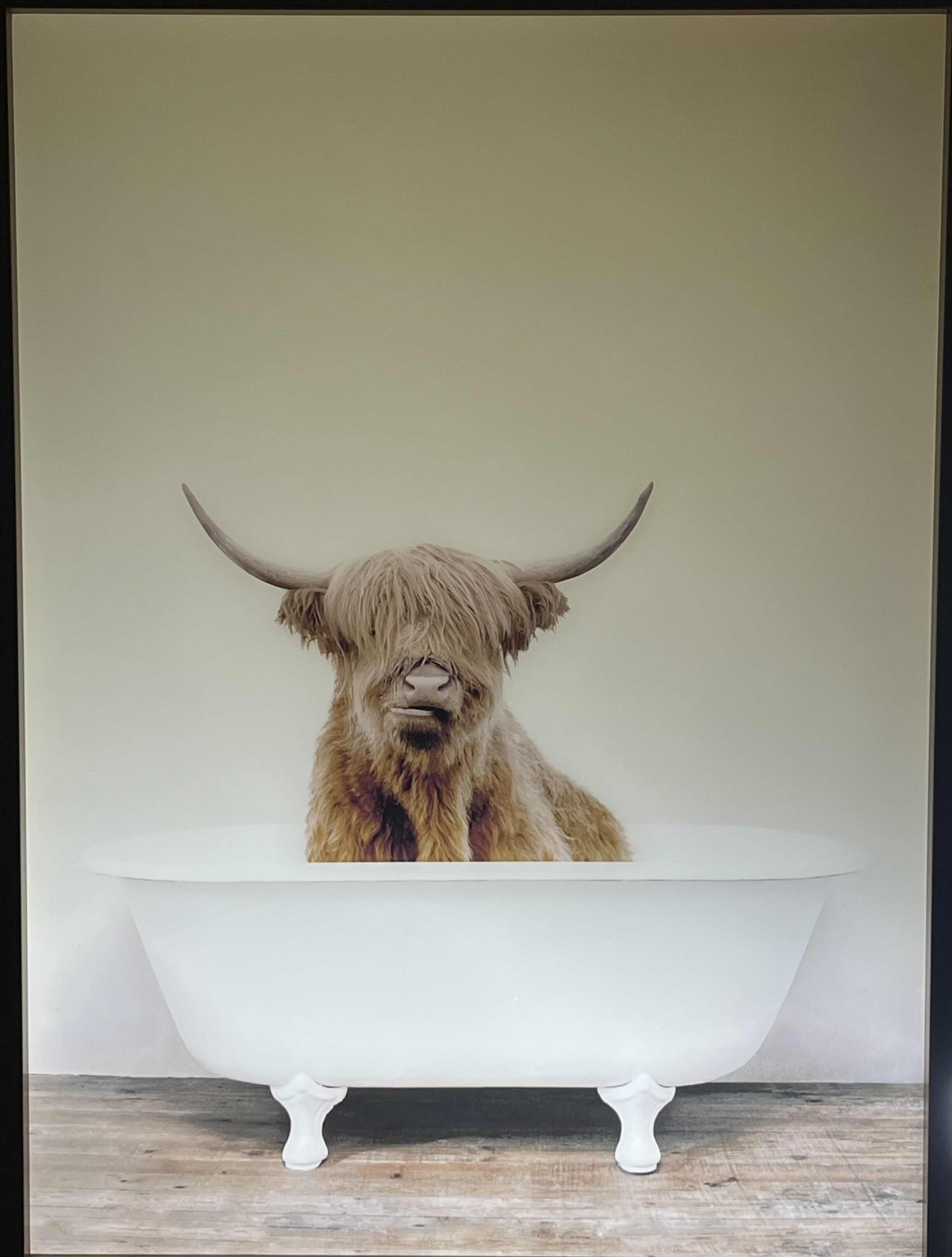 Photo 1 of UNIEK SYLVIE HIGHLAND COW IN TUB GLASS PRINT FRAMED ARTWORK 18” X 24”
