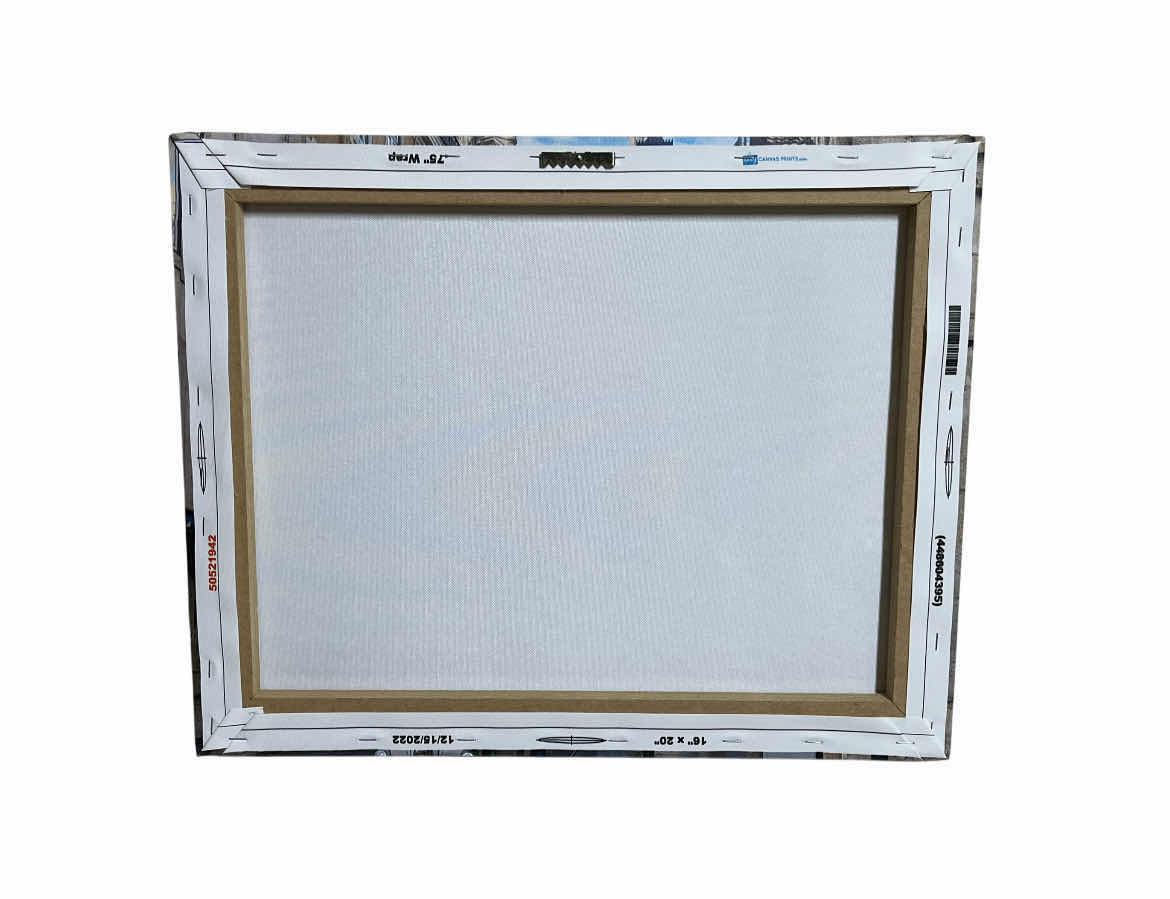 Photo 1 of EASY CANVAS PRINTS M. MONIZ TROLLEY LISBON PORTUGAL CANVAS ARTWORK 16” X 20”