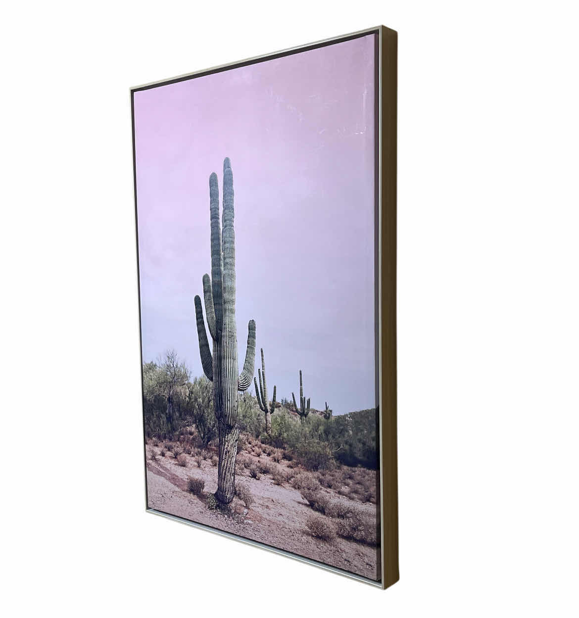 Photo 1 of PI CREATIVE ART DESERT CACTUS FRAMED CANVAS PRINT ARTWORK 25” X 37”