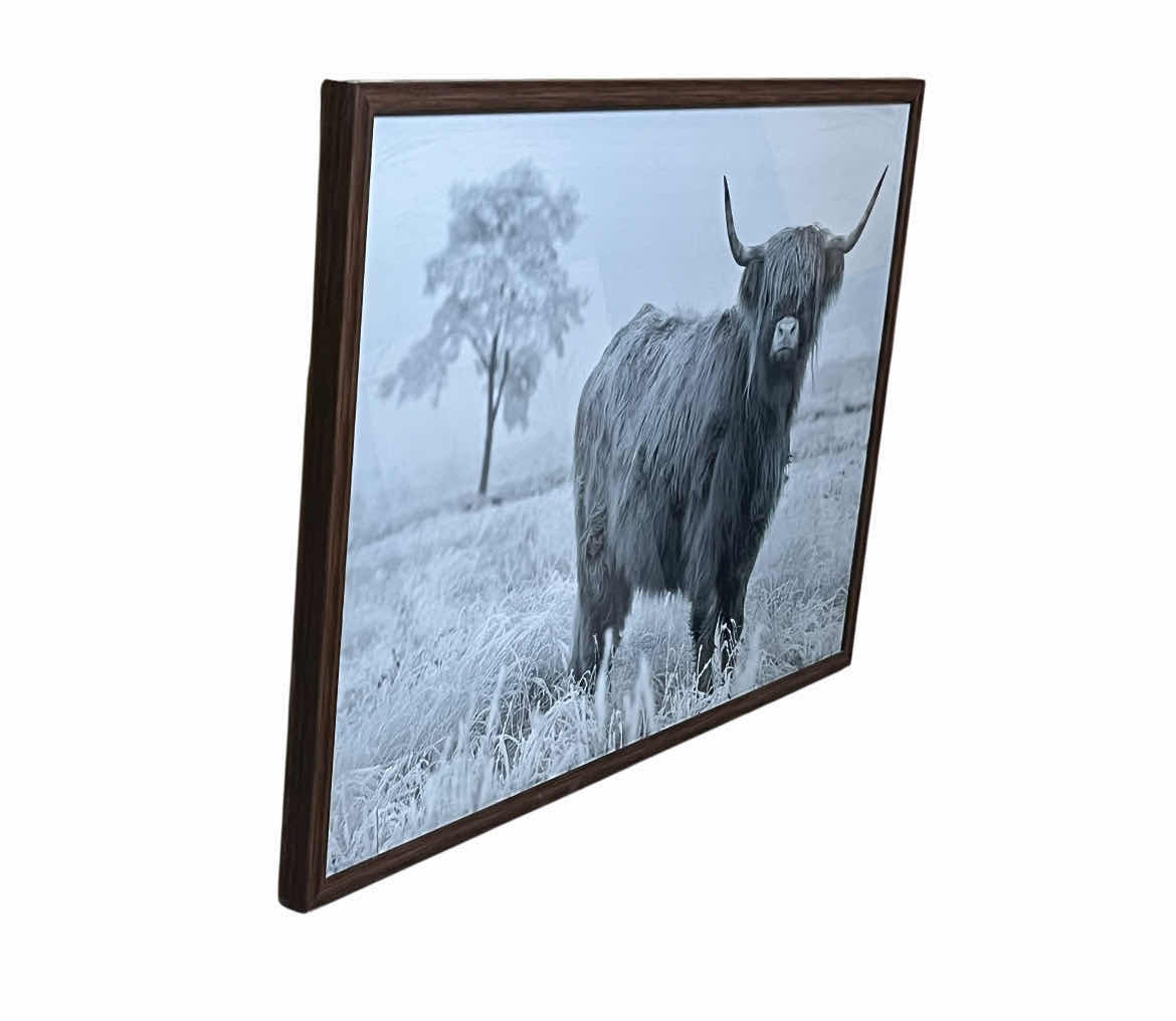 Photo 1 of SYLVIE COW FRAMED PHOTO ARTWORK 32” X 22”