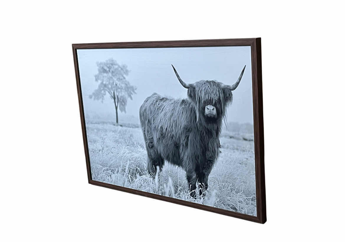 Photo 1 of SYLVIE COW FRAMED PHOTO ARTWORK 32” X 22”