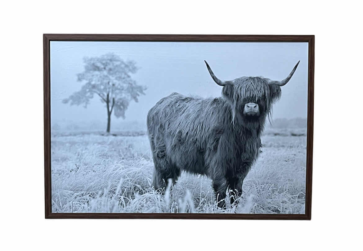 Photo 1 of SYLVIE COW FRAMED PHOTO ARTWORK 32” X 22”