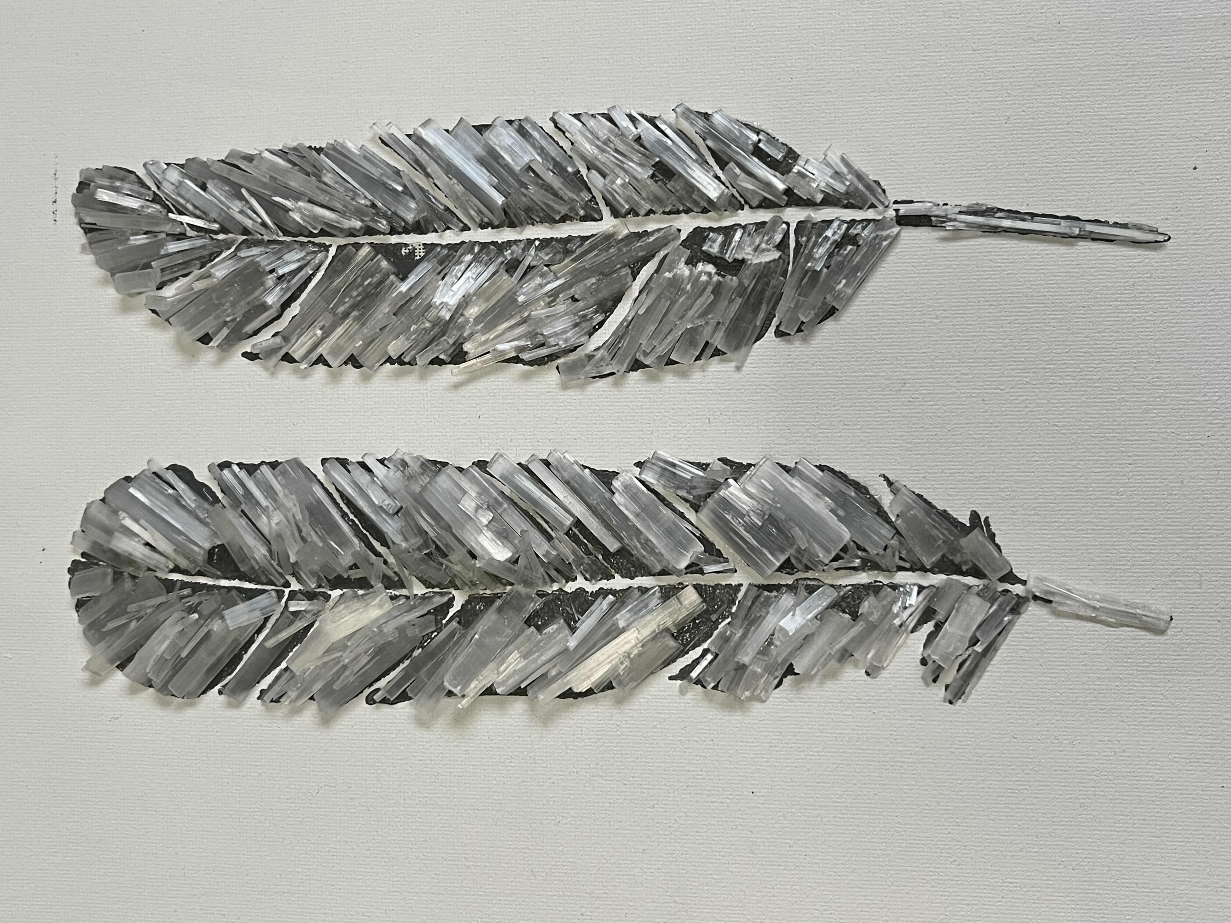 Photo 1 of 3D FEATHERS SIGNED BY CELESTO 2021 CANVAS ARTWORK 12” X 12”