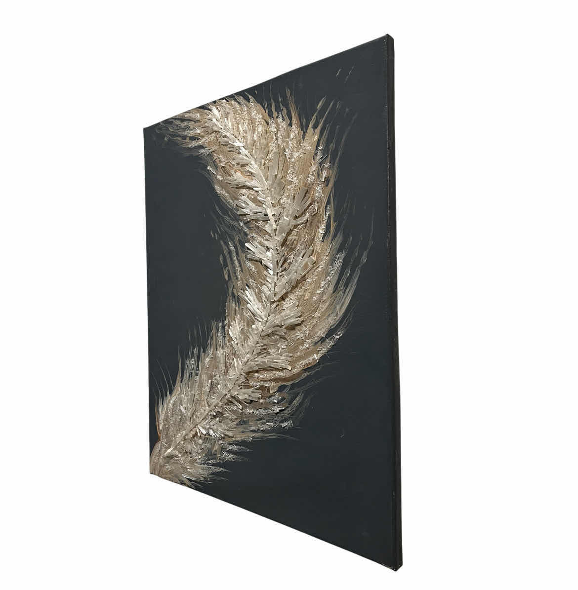 Photo 1 of 3D FEATHER CANVAS ARTWORK 16” X 20”