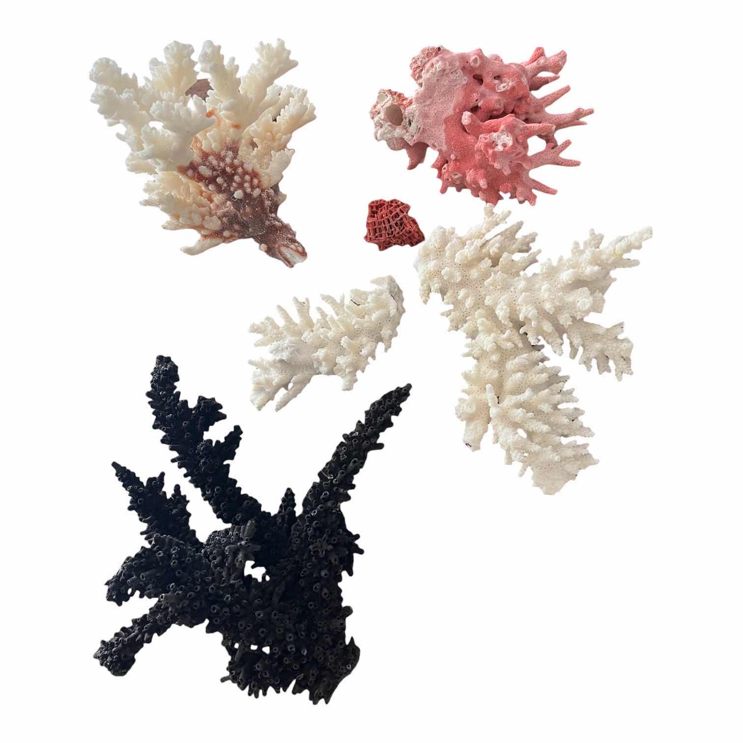 Photo 1 of BLACK, WHITE, & PINK CORAL DECOR 4”-8”