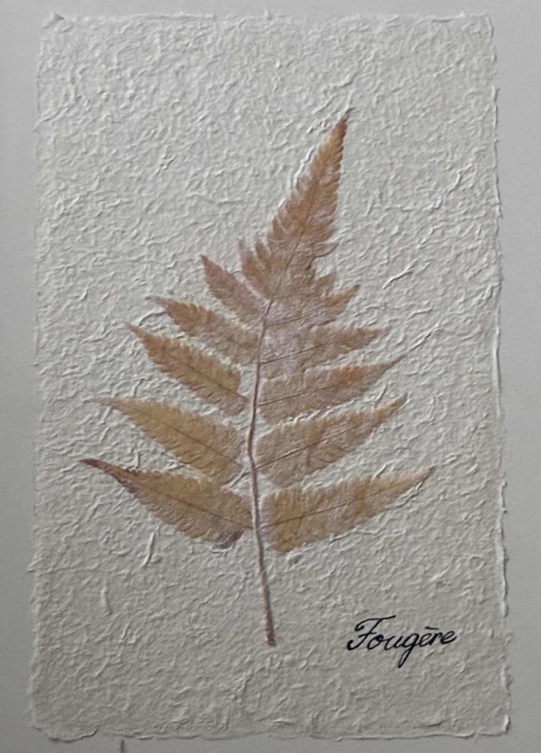 Photo 1 of FOUGERE BOTANICAL FRAMED ARTWORK 17” X 20.5”