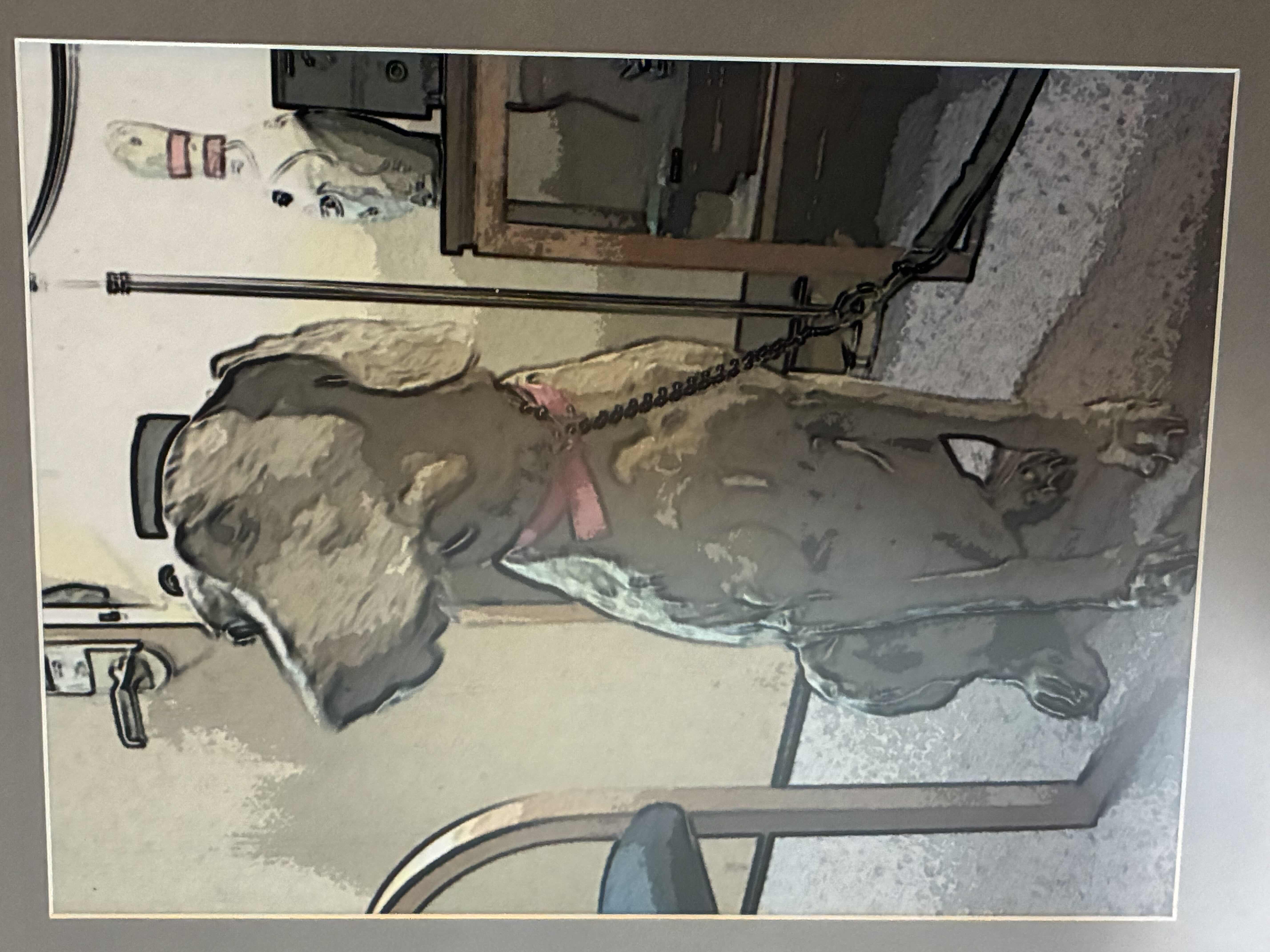 Photo 1 of DISTORTED LABRADOR PHOTO FRAMED ARTWORK 13” X 16”