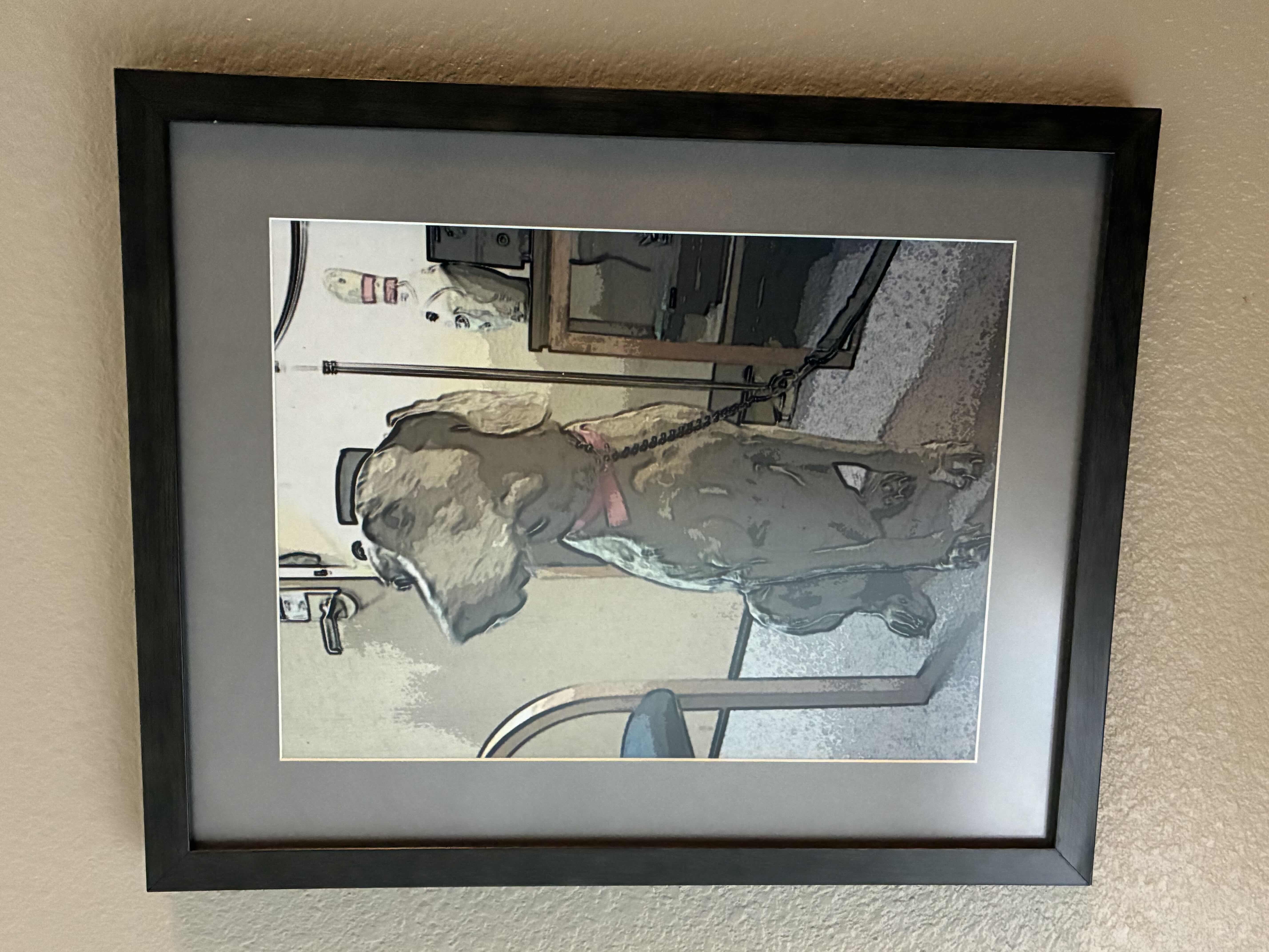 Photo 1 of DISTORTED LABRADOR PHOTO FRAMED ARTWORK 13” X 16”