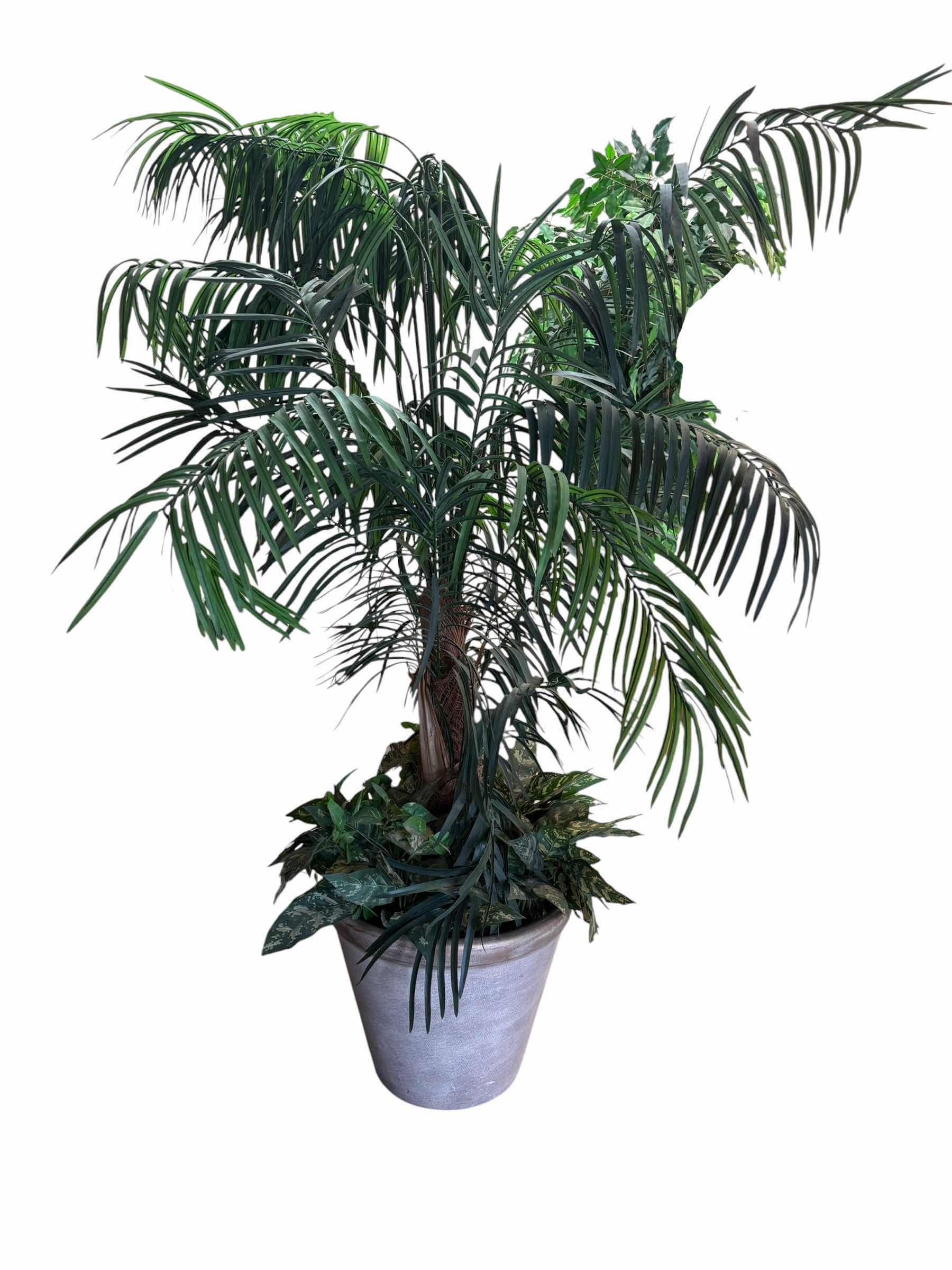 Photo 1 of ARTIFICIAL PALM TREE H6’
