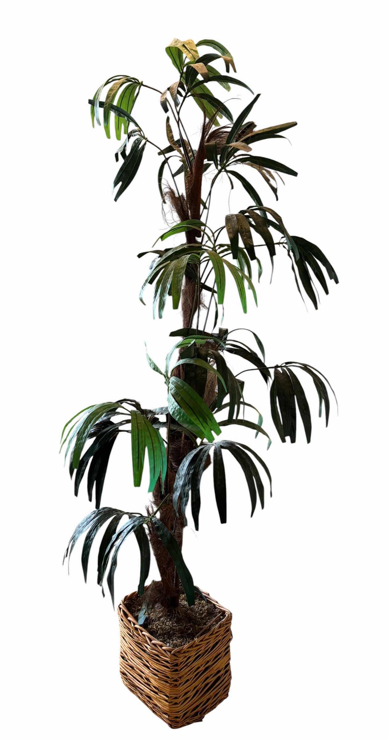 Photo 1 of ARTIFICIAL PALM TREE H68”