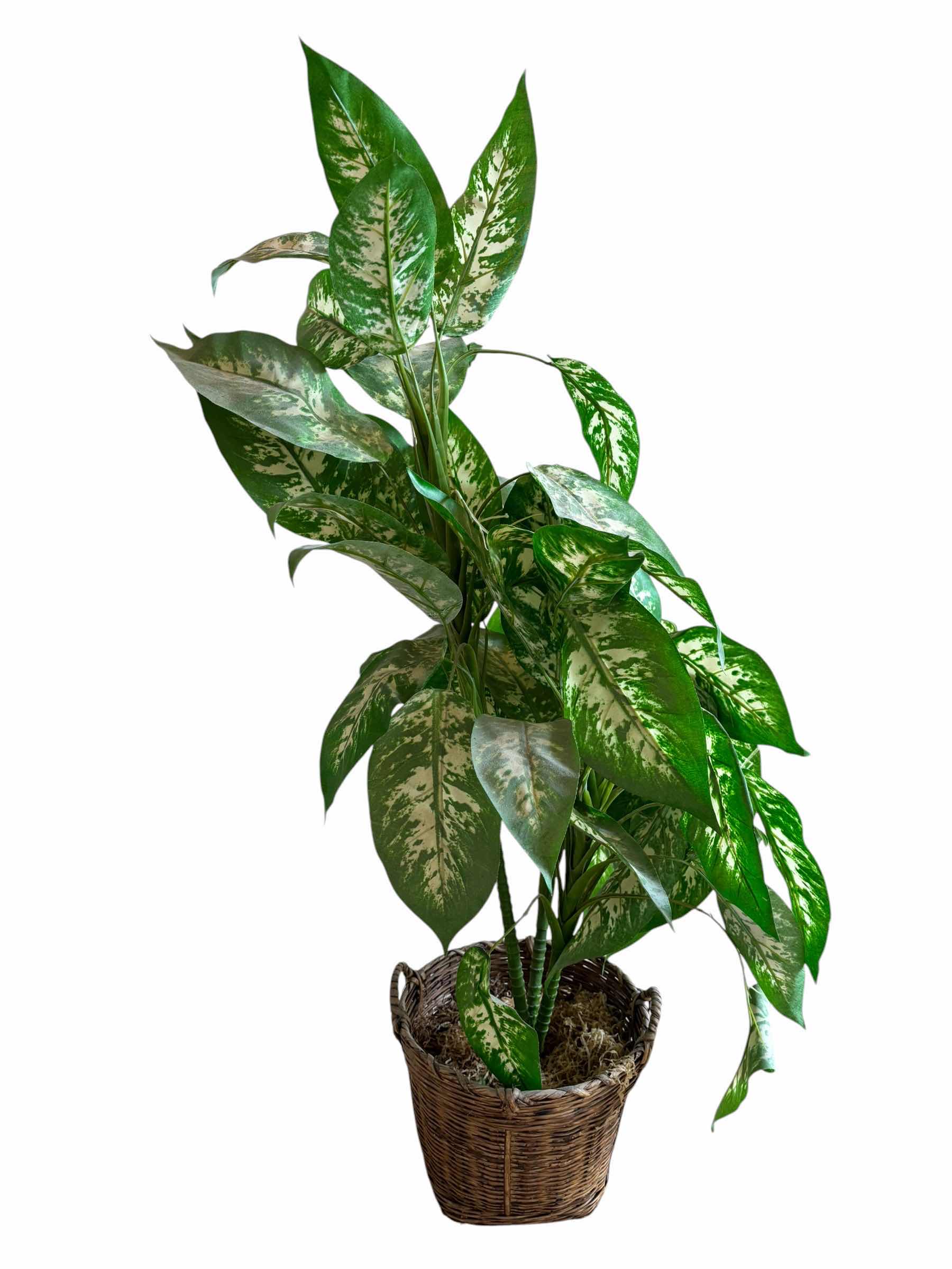 Photo 1 of ARTIFICIAL PLANT IN BASKET H36”