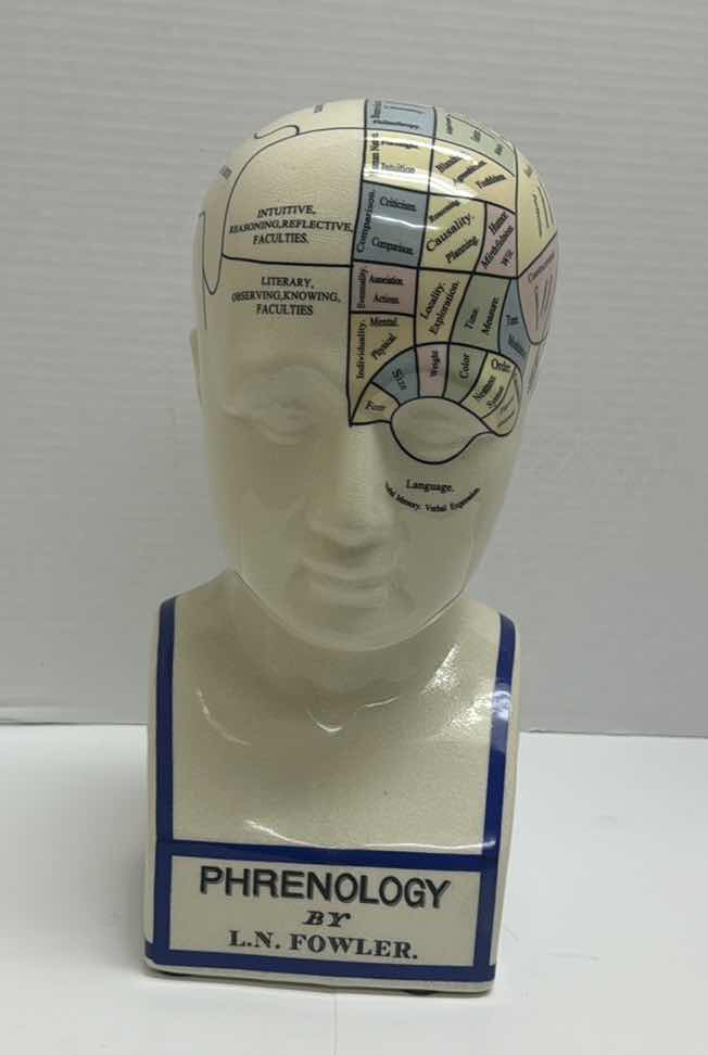 Photo 1 of L.N. FOWLER PHRENOLOGY SCIENTIFIC PSYCHOLOGY 11" CERAMIC BUST