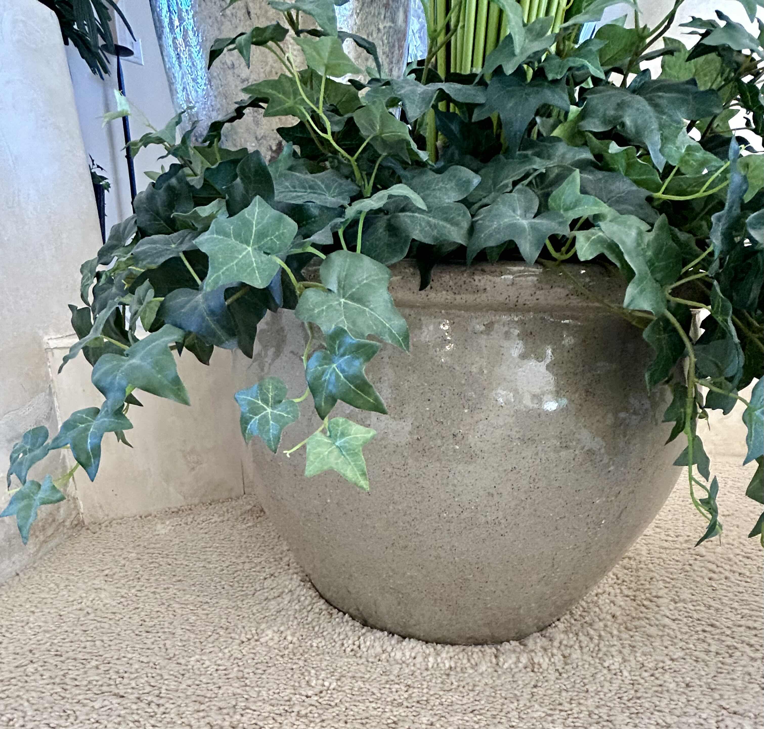 Photo 2 of FAUX BAMBOO IN HEAVY GLAZED POT WITH FAUX ENGLISH IVY FILLER 69” H