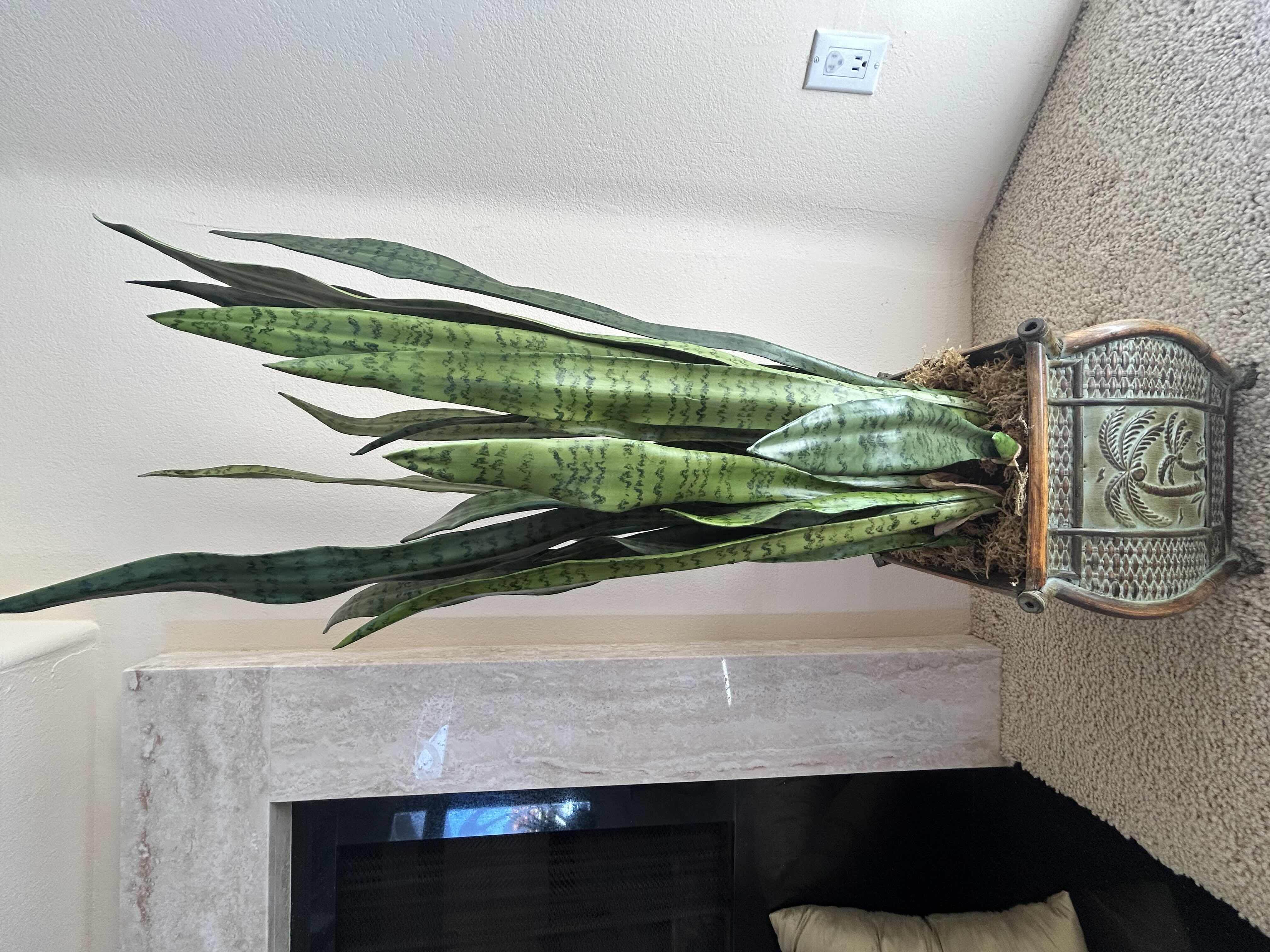 Photo 1 of 4’H FAUX SNAKE PLANT IN WICKER POT WITH PALM TREES