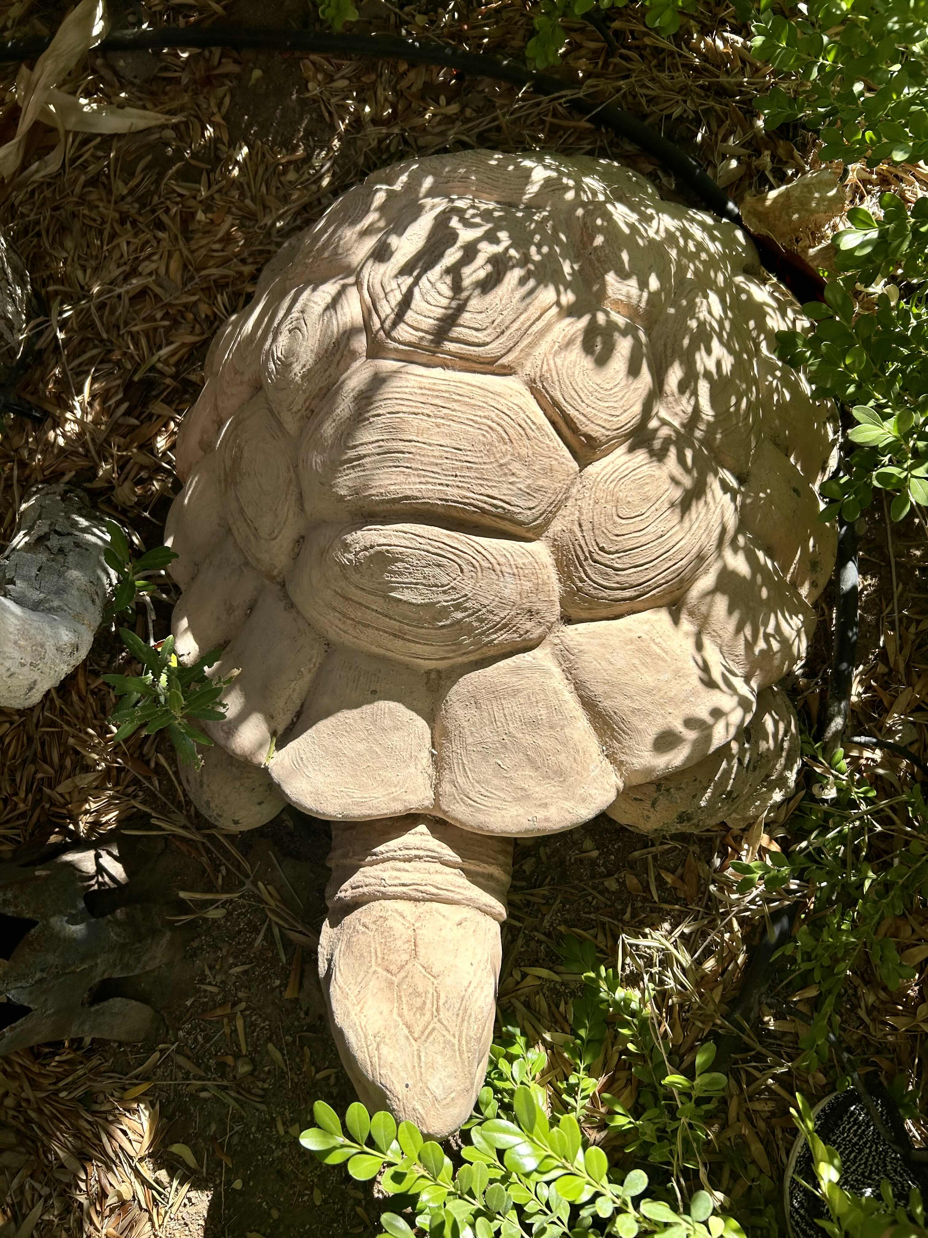 Photo 2 of CONCRETE TORTOISE YARD ORNAMENT (HEAVY)