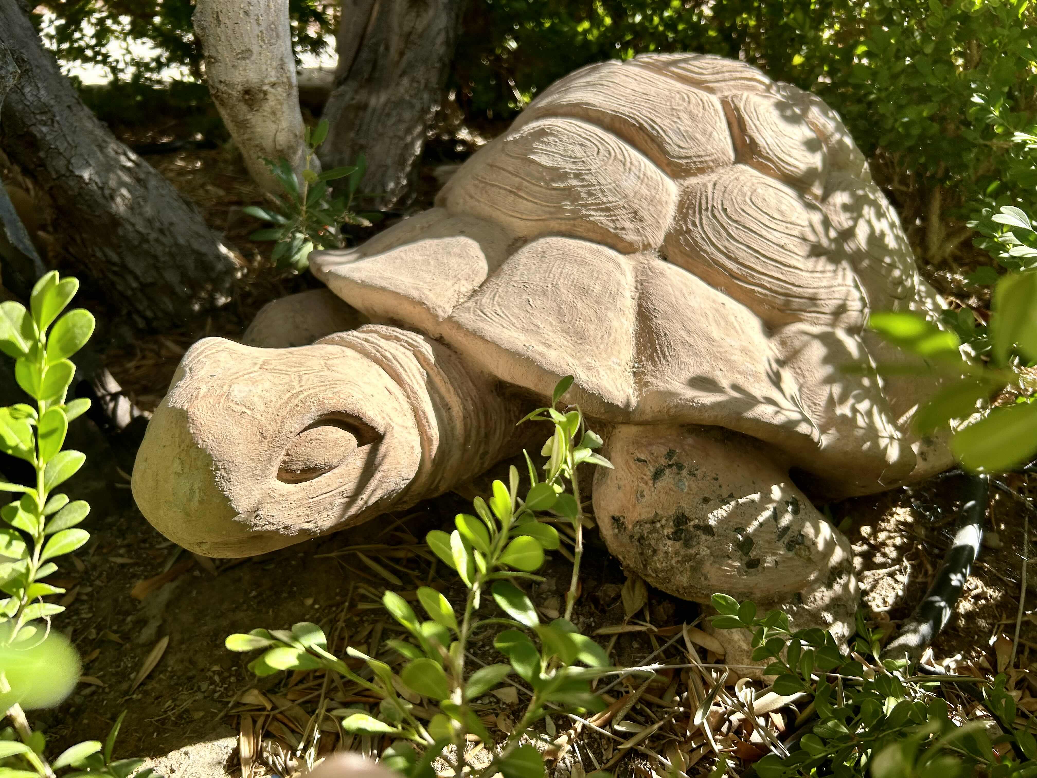 Photo 1 of CONCRETE TORTOISE YARD ORNAMENT (HEAVY)