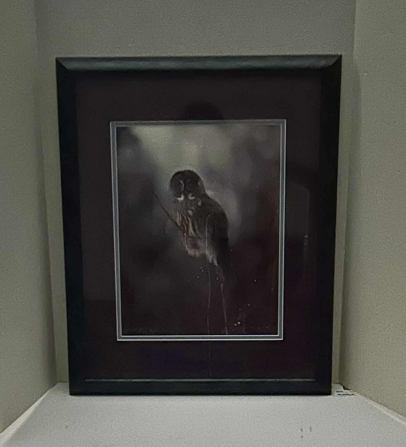 Photo 1 of ARTWORK OWL PICTURE 18” x 22” IN A GRAY/BLACK MARBLE COLORED FRAME