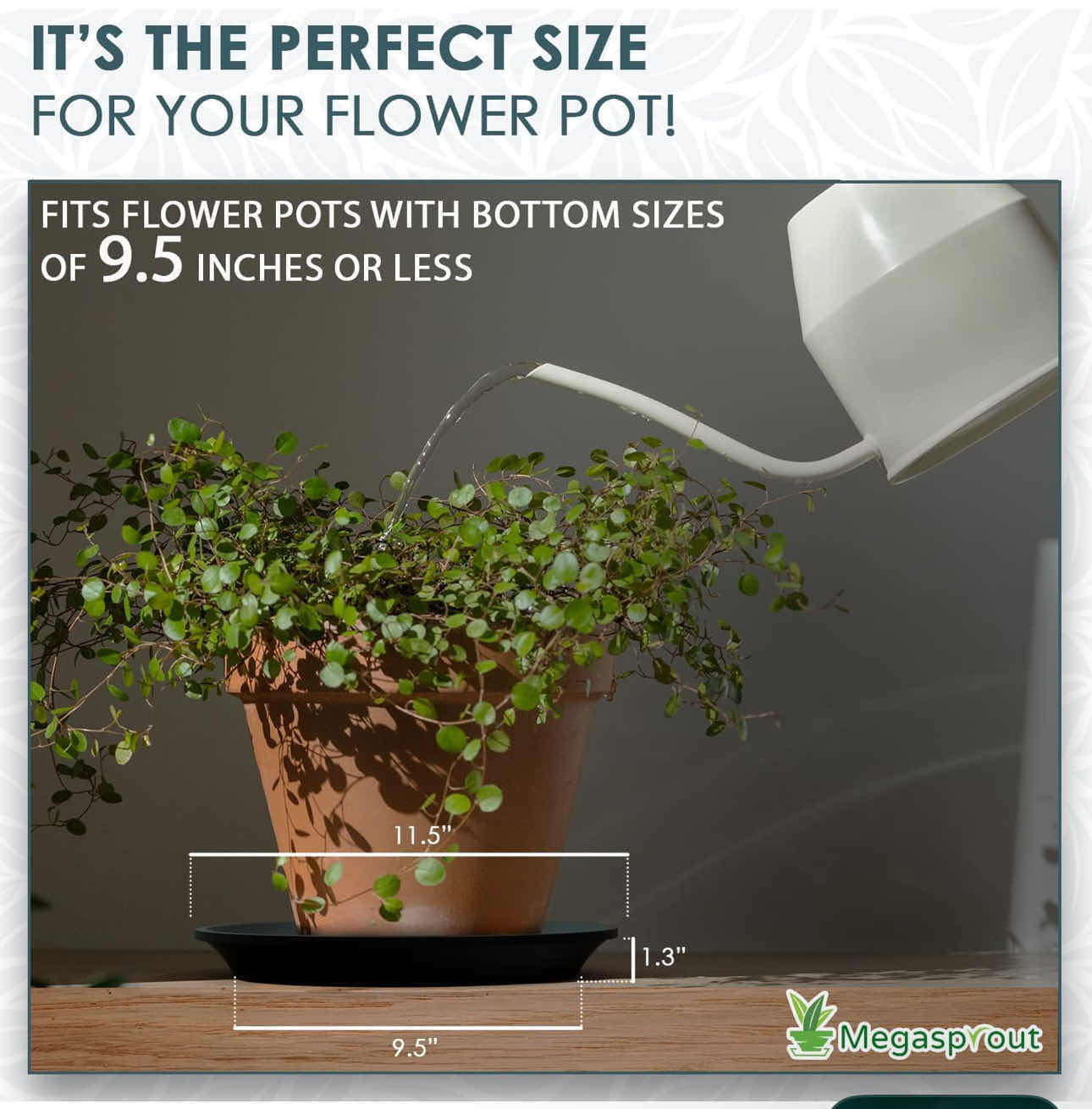 Photo 1 of BRAND NEW CASE OF MEGASPROUT 6 PLANT SAUCER TRAYS 9”