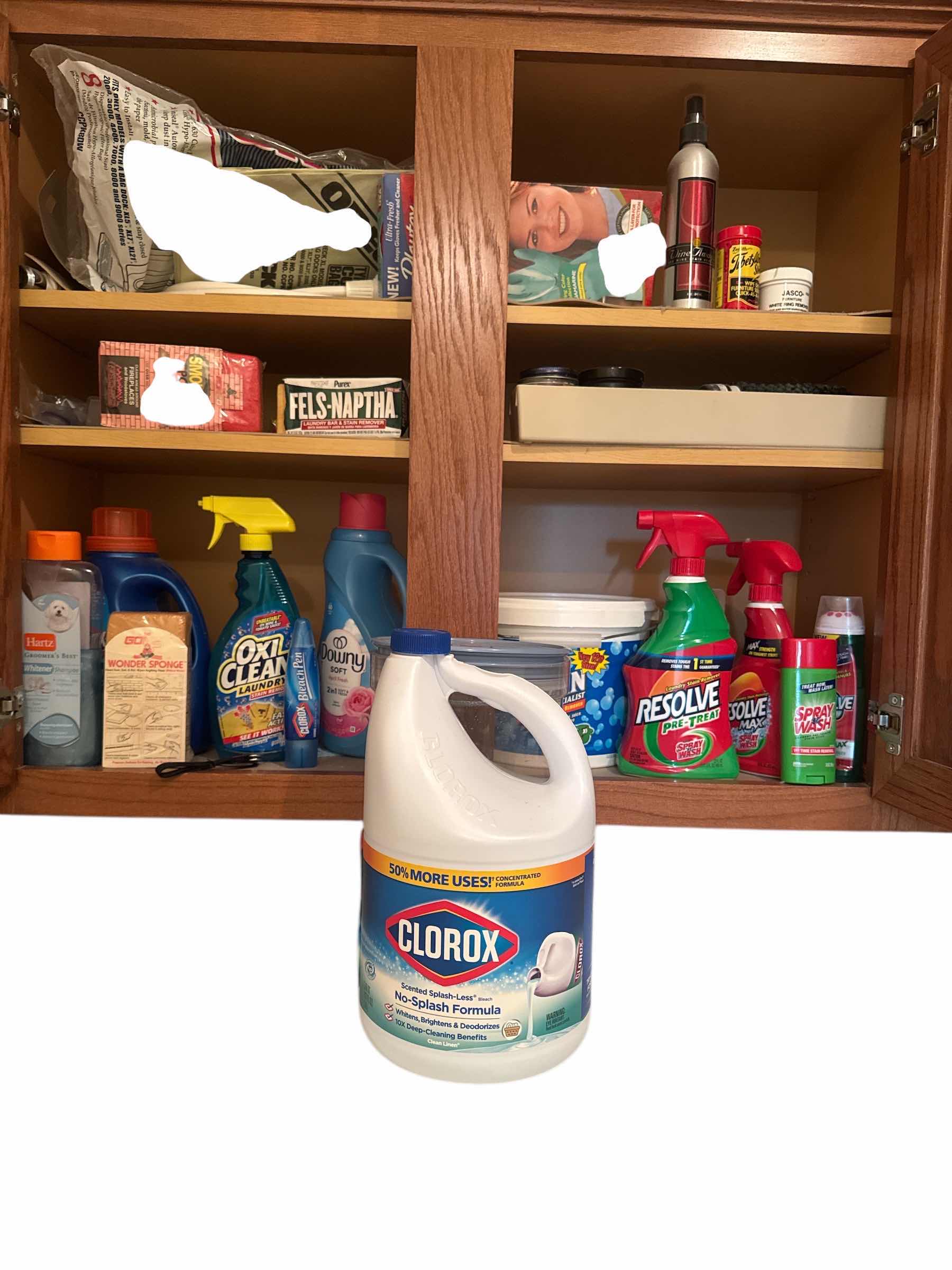 Photo 1 of CONTENTS OF CABINET: ORECK VACUUM BAGS, LAUNDRY SOAP, BLEACH
