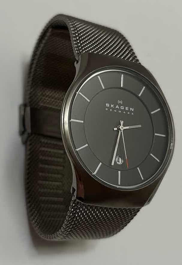 Photo 1 of SKAGEN DENMARK MENS GRAY MESH STRAPS ANALOG DIAL QUARTZ GENUINE WATCH (SKW6140)