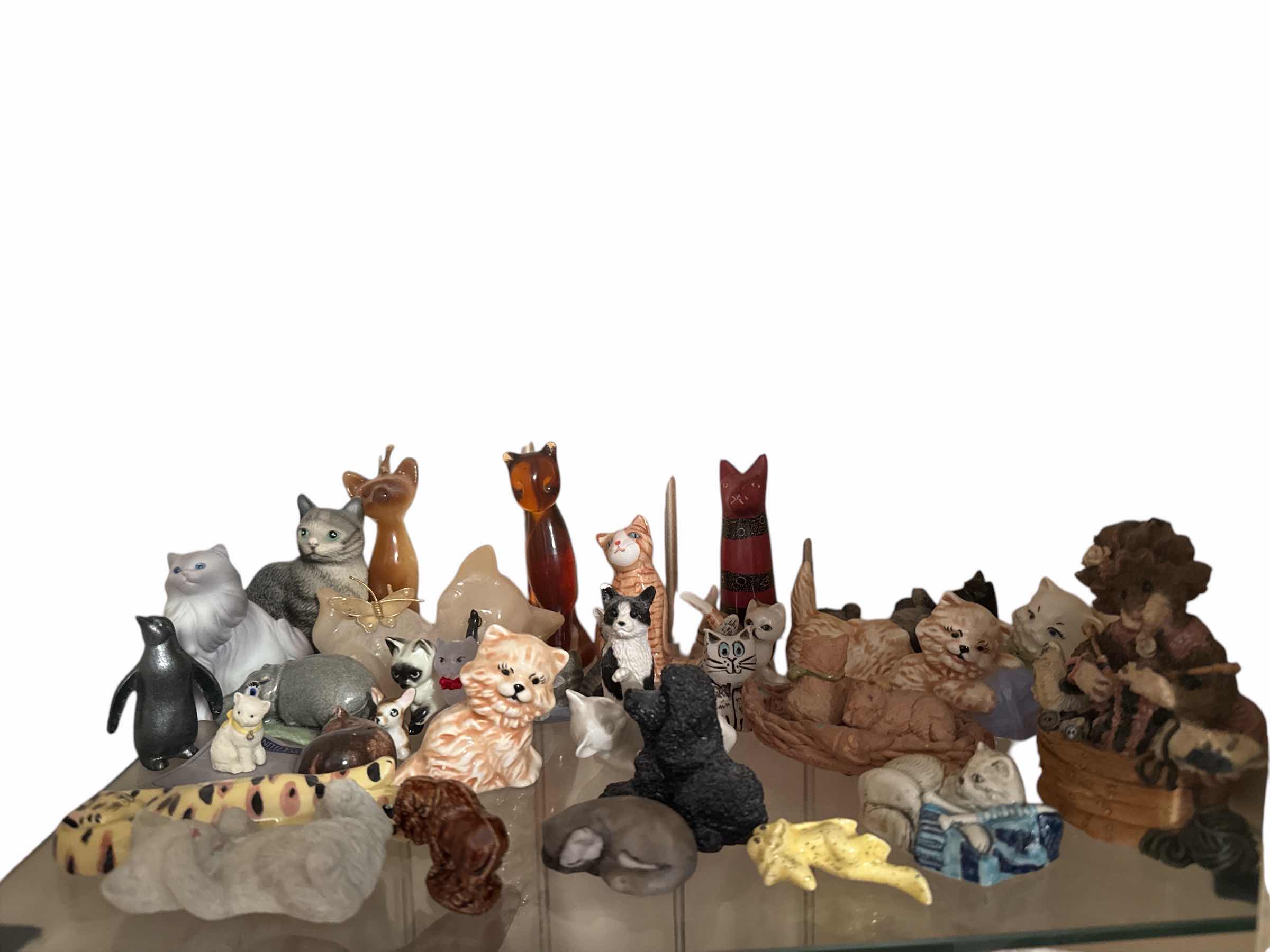 Photo 1 of SHELF OF CATS