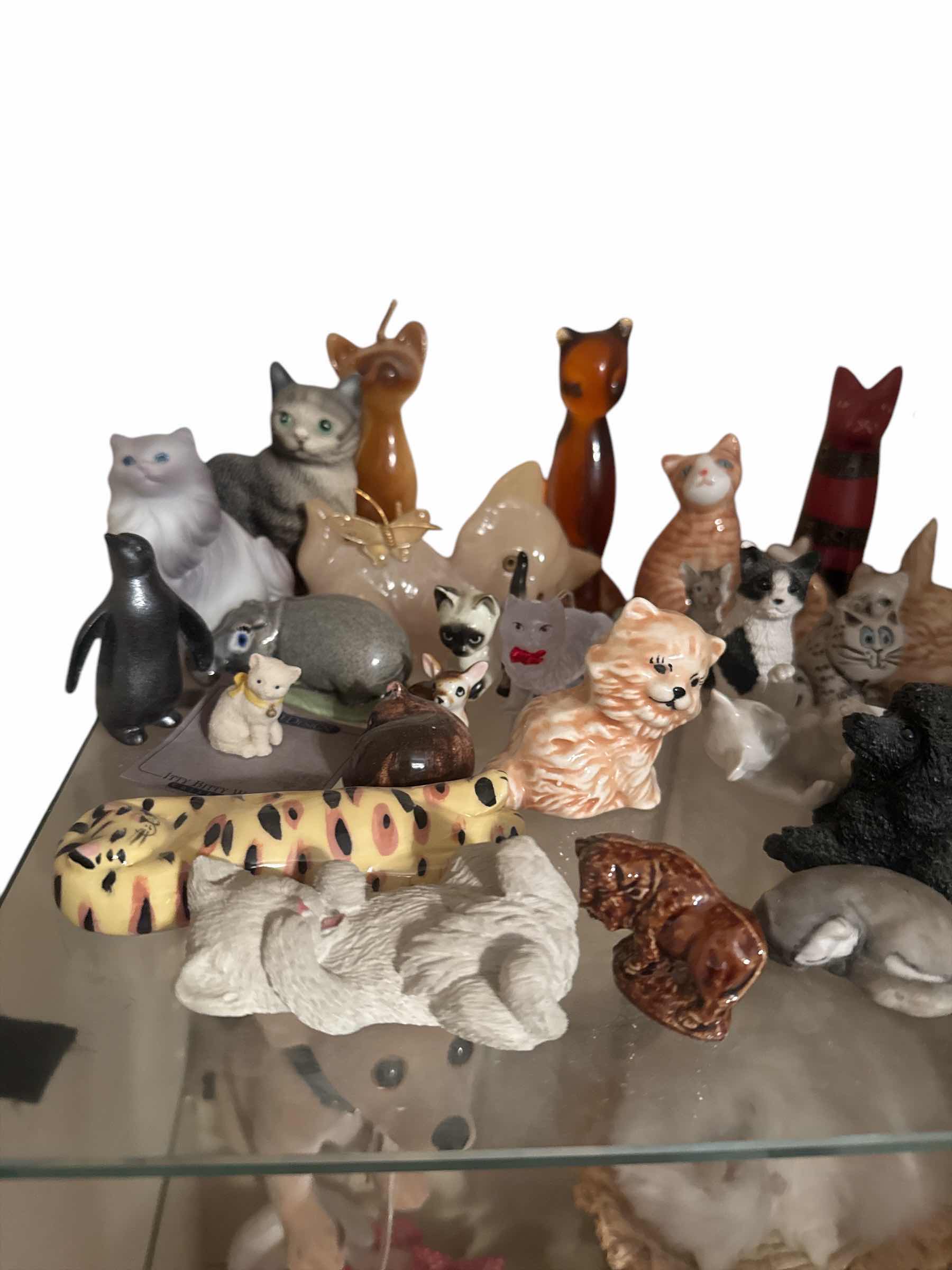 Photo 1 of SHELF OF CATS