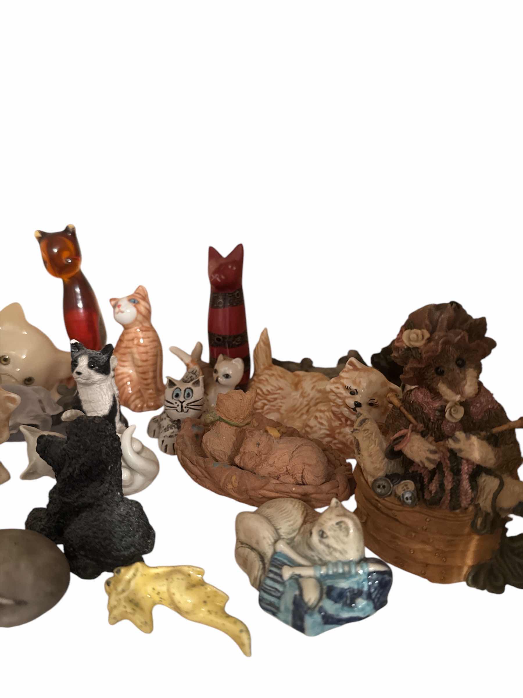 Photo 1 of SHELF OF CATS