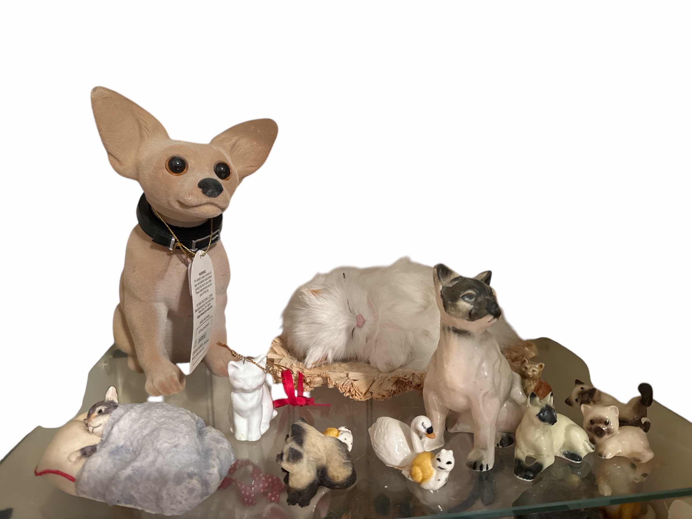 Photo 1 of SHELF OF CATS