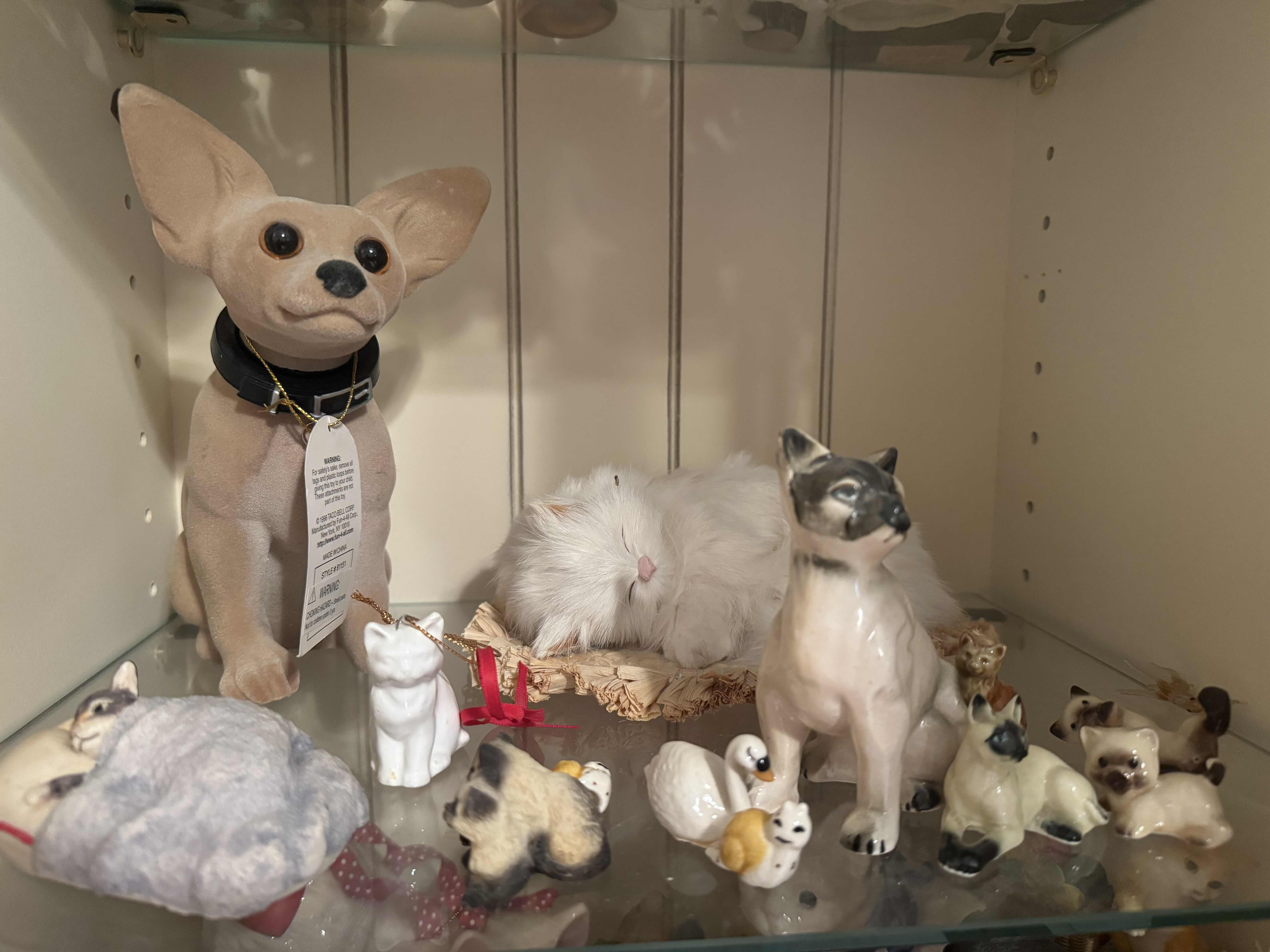 Photo 1 of SHELF OF CATS