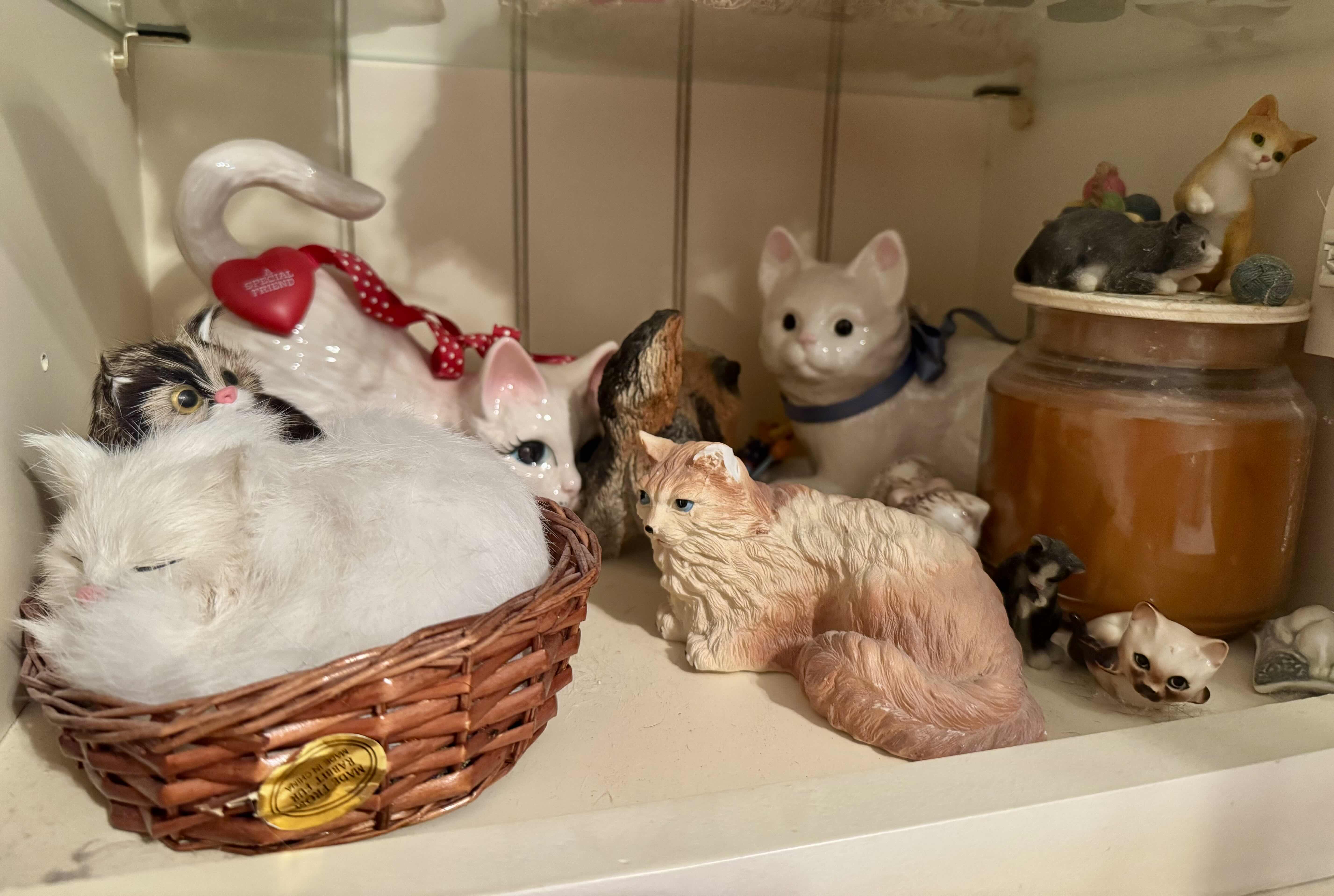 Photo 1 of SHELF OF CATS
