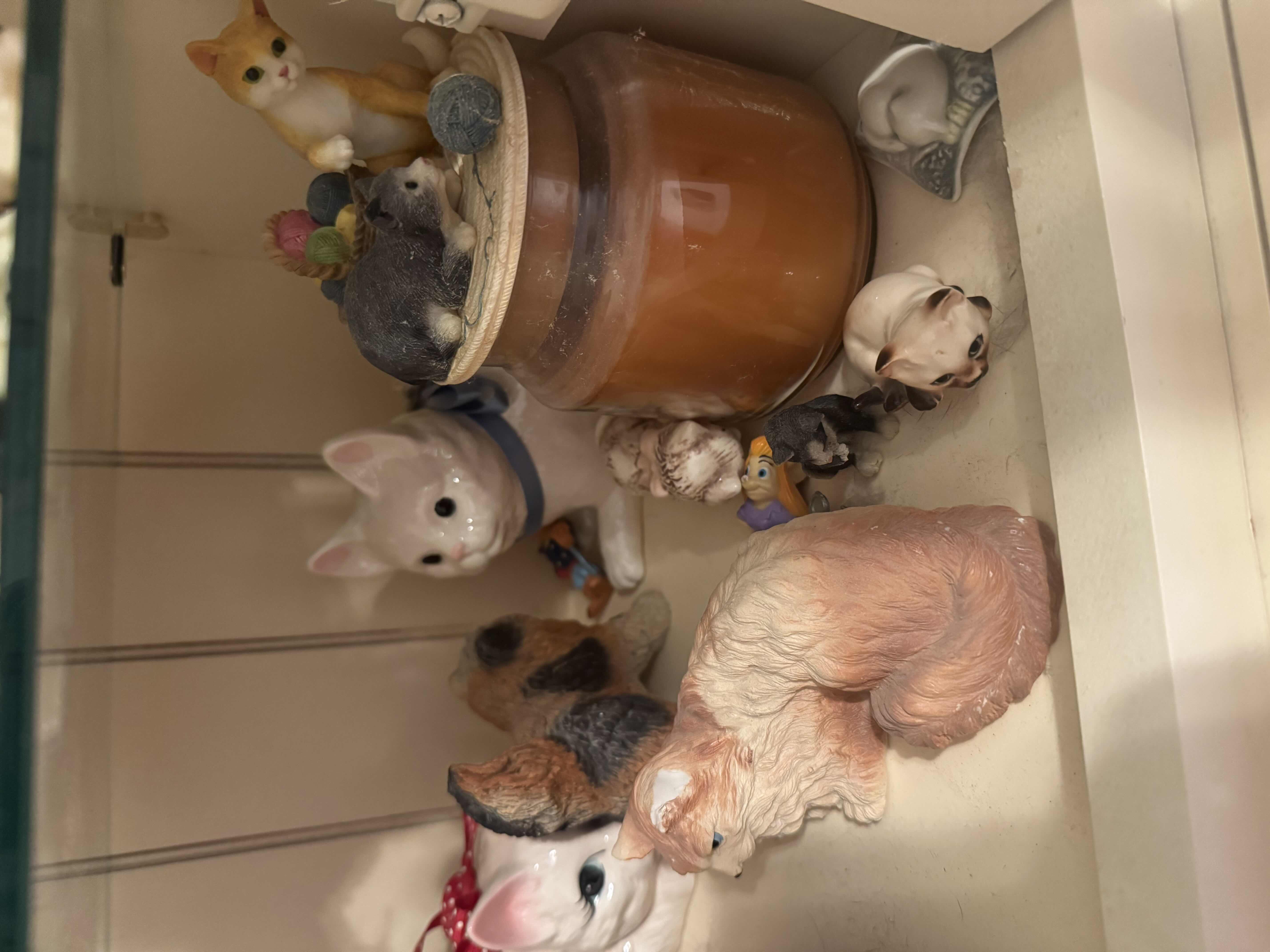 Photo 1 of SHELF OF CATS