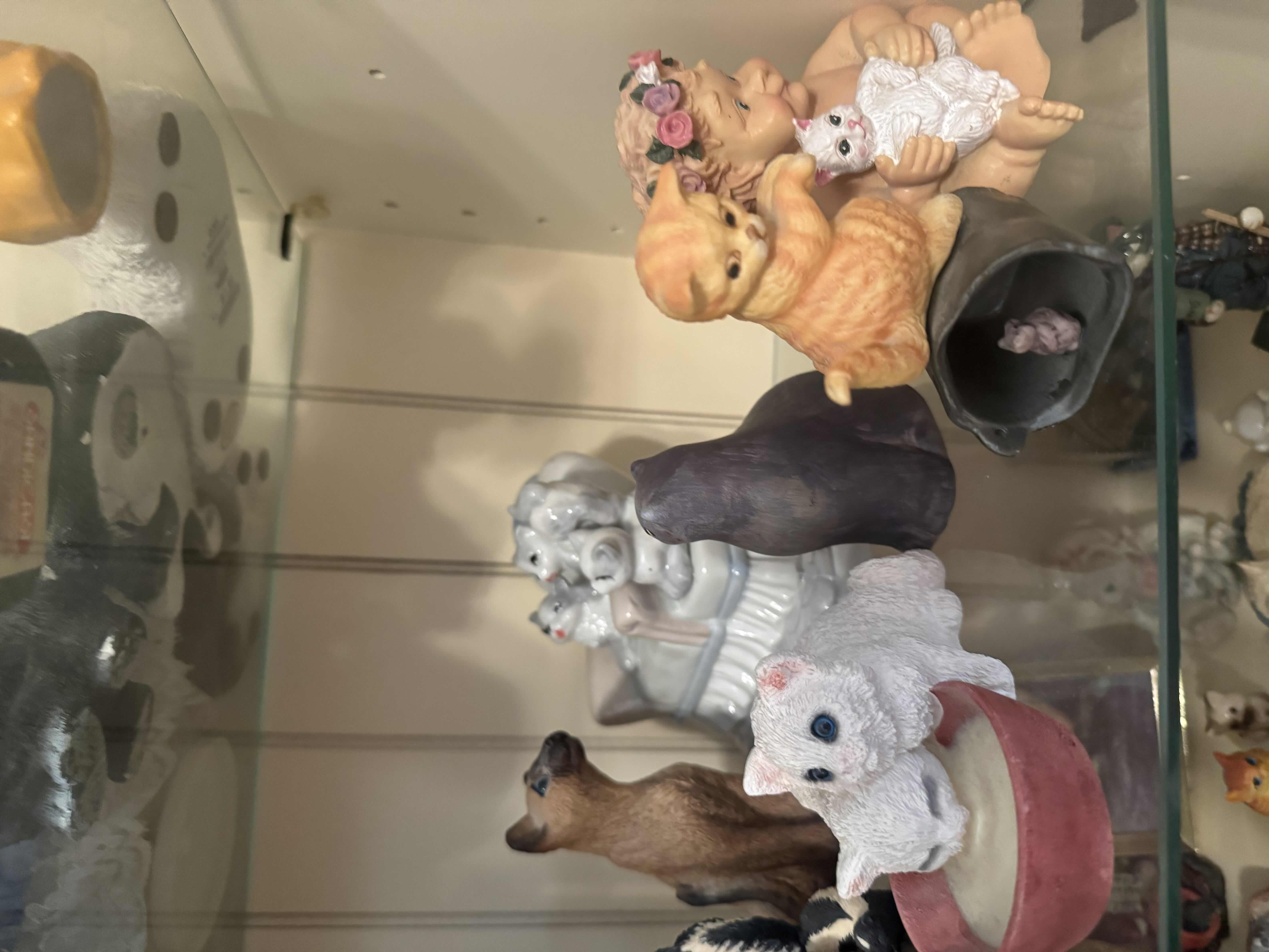Photo 1 of SHELF OF CATS