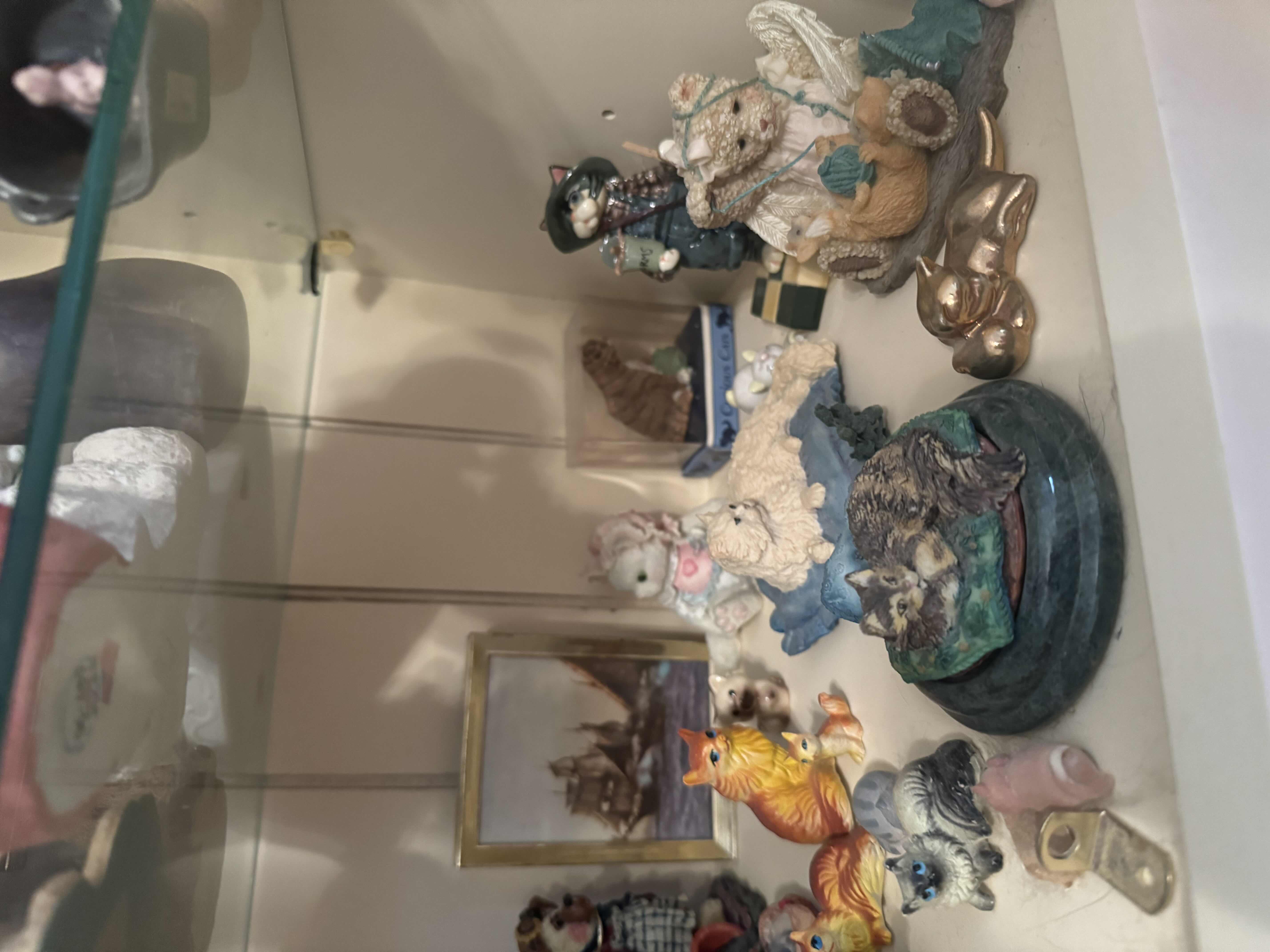 Photo 1 of SHELF OF CATS
