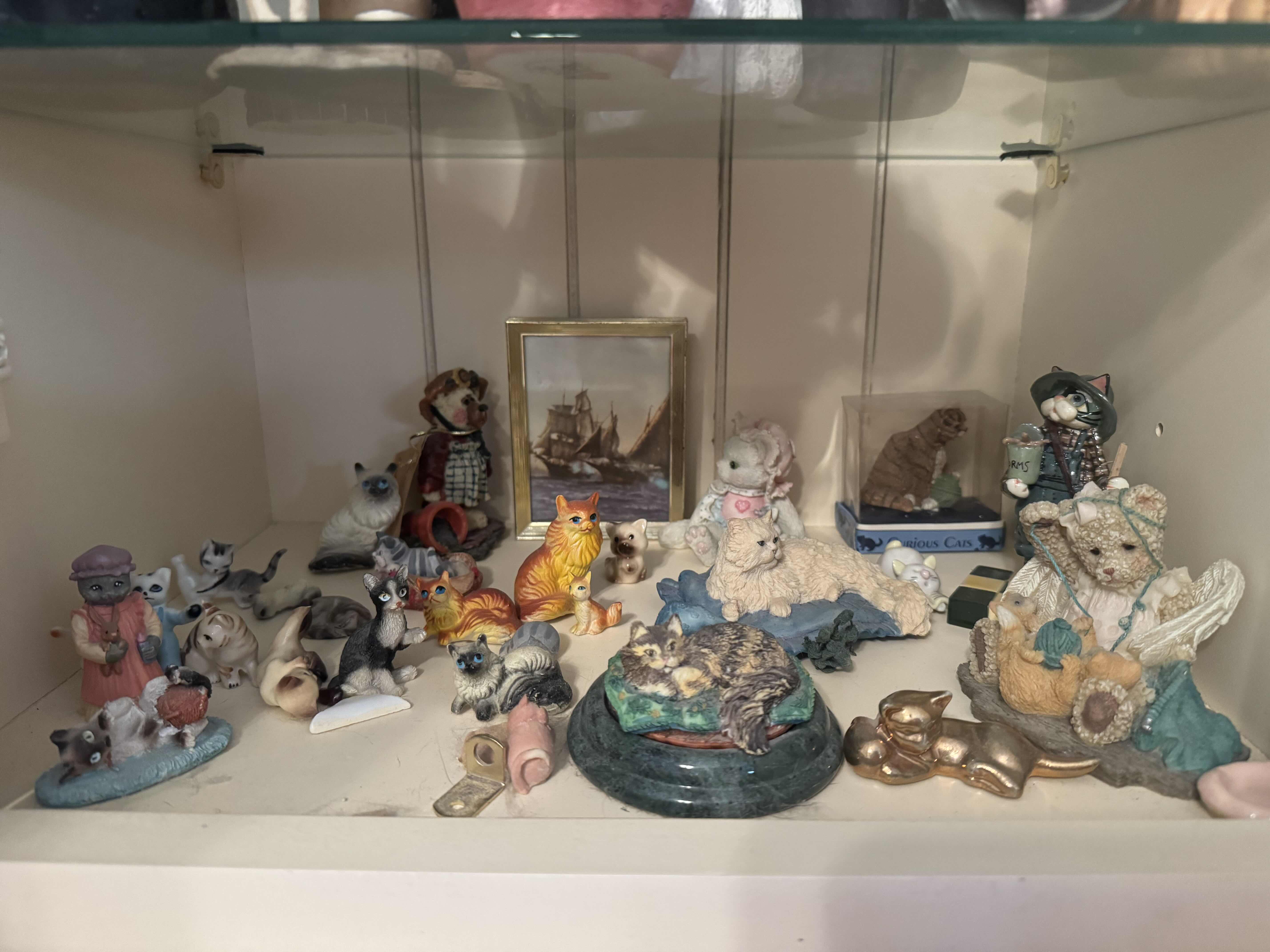 Photo 1 of SHELF OF CATS