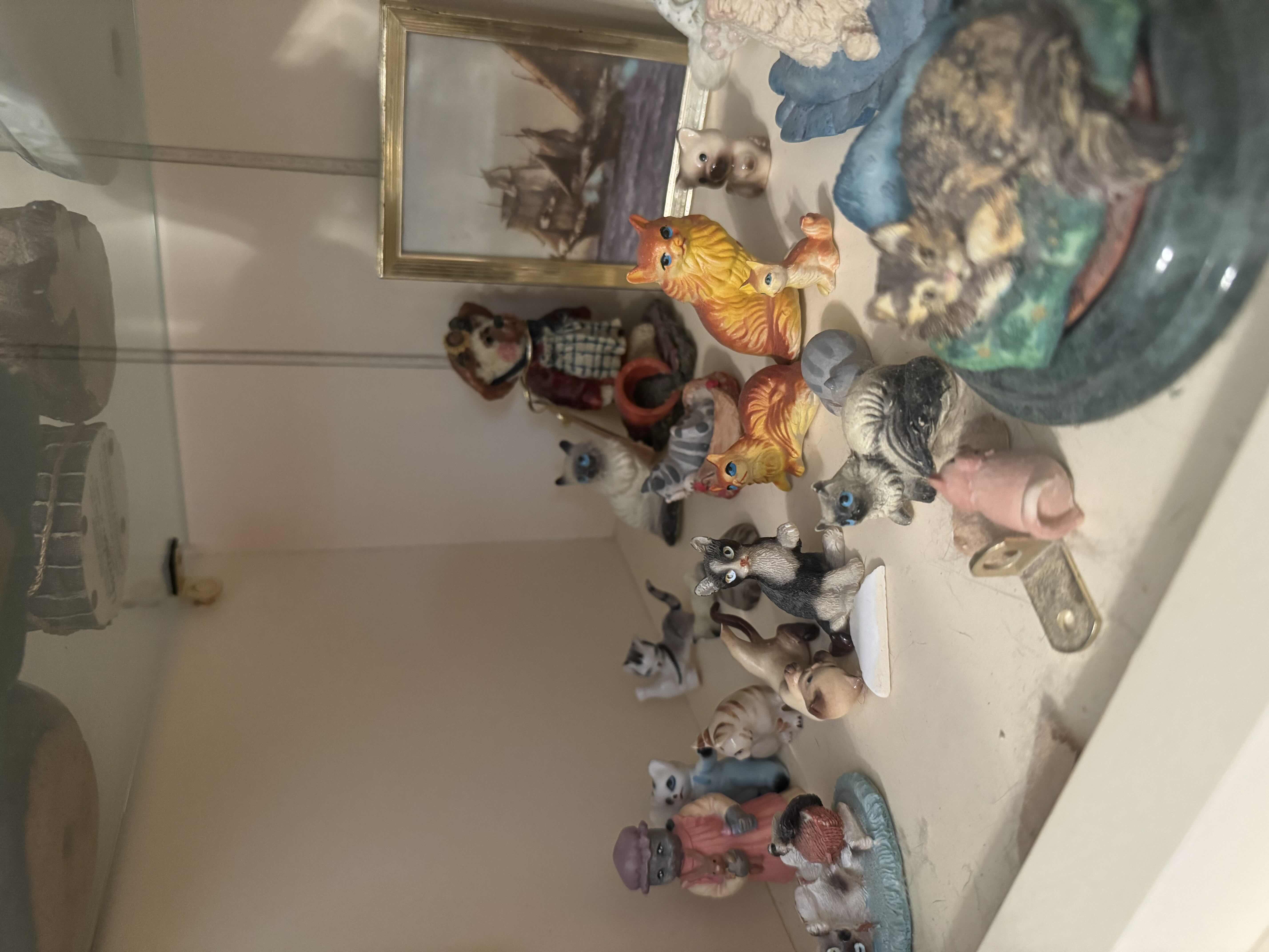 Photo 1 of SHELF OF CATS