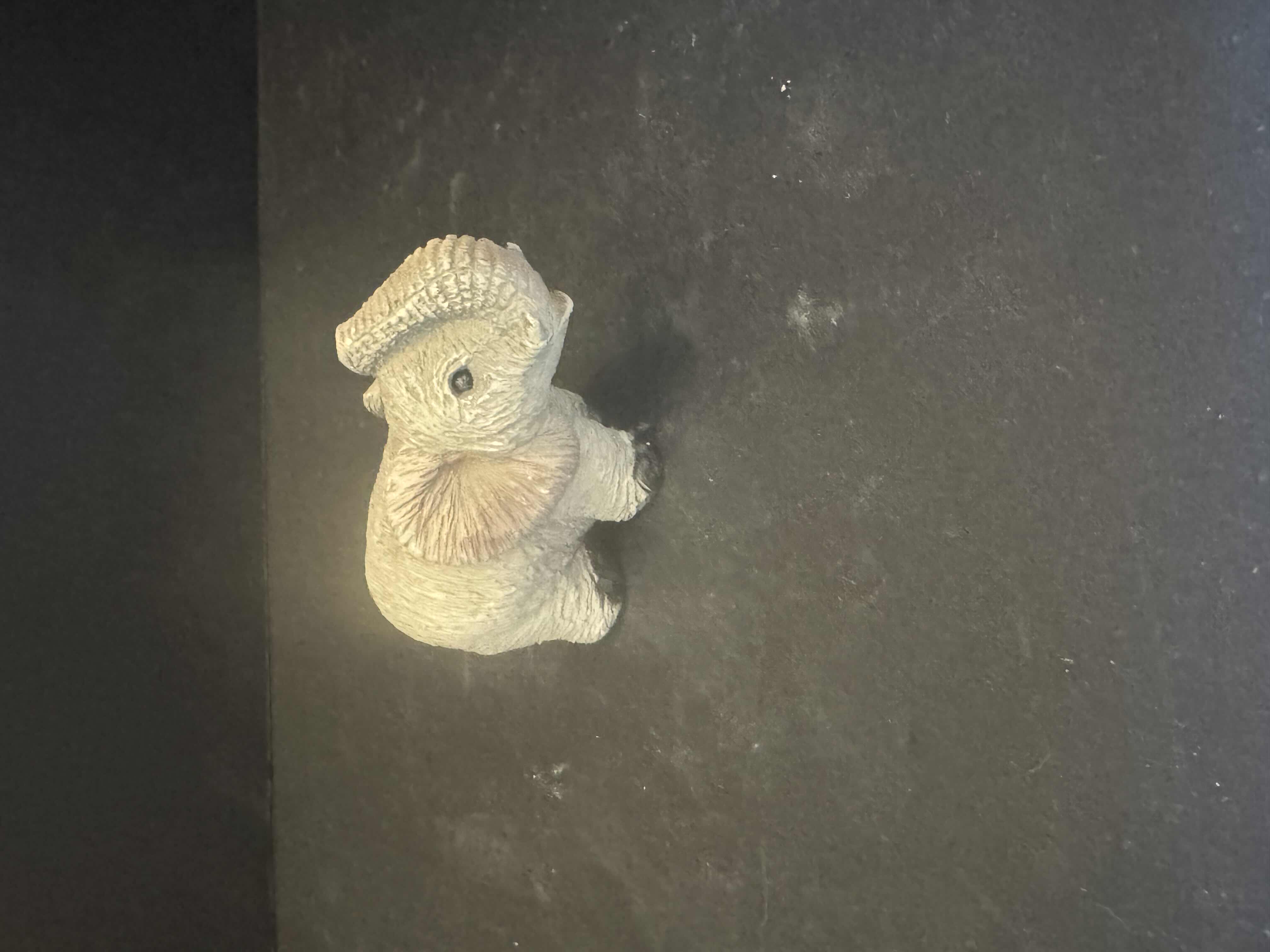Photo 1 of COLLECTION OF ELEPHANTS WITH LUCKY STONE, RESIGN AND CERAMIC, 8 ITEMS

3.5” X H4”
4.5” X H4”
2.5” X H4.5”
3.5” X H3.5”
4.5” X H4”
3”  X H2.5”
3” X H2”

STONE
3” X H1.5”