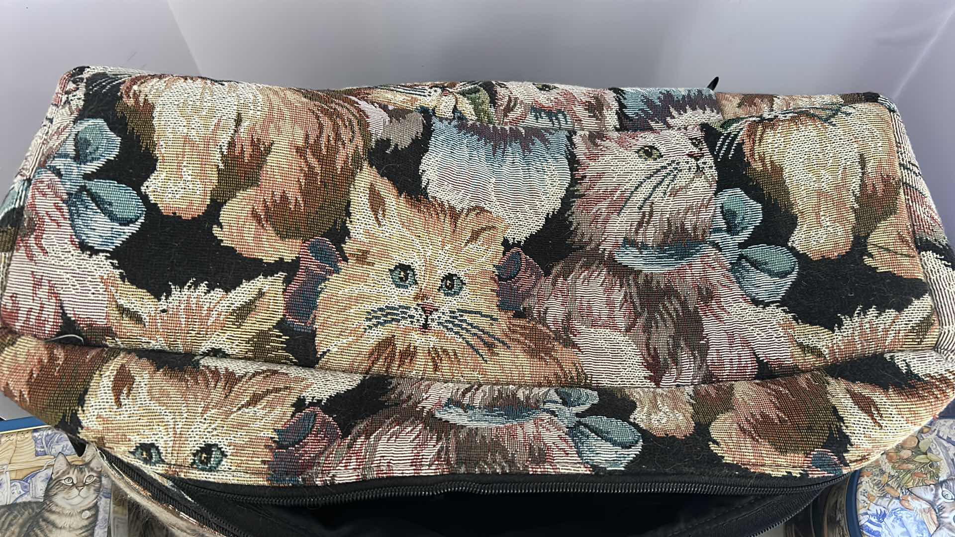Photo 1 of SOFTSIDE EMBROIDERY CAT CASE W ASSORTED CAT TINS